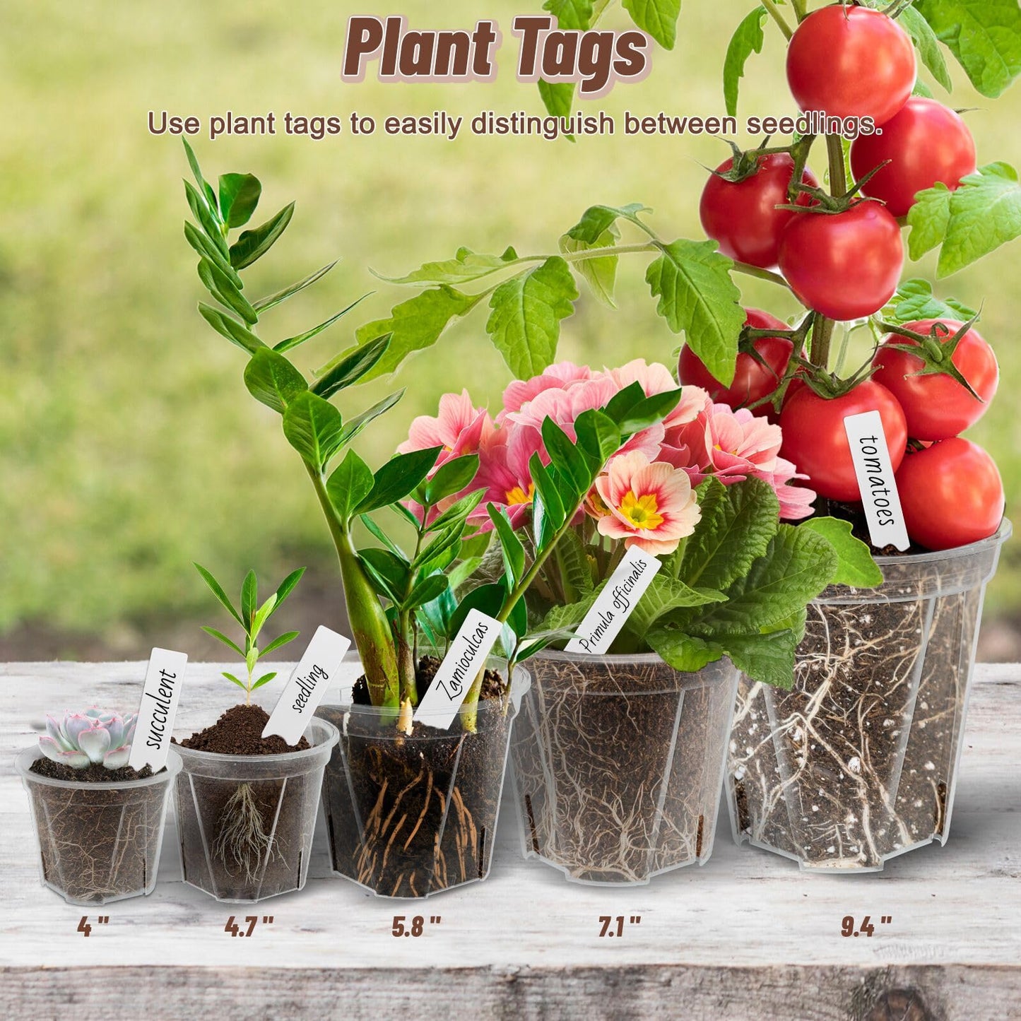 Clear Nursery Pots with Drainage, 30 Pack Transparent Plastic Orchid Planters, 6 Sizes Plant Pots 9.5/8.5/7/6/4.7/4 Inch with 30 Plant Labels for Seedlings, Succulents, Indoor/Outdoor Repotting