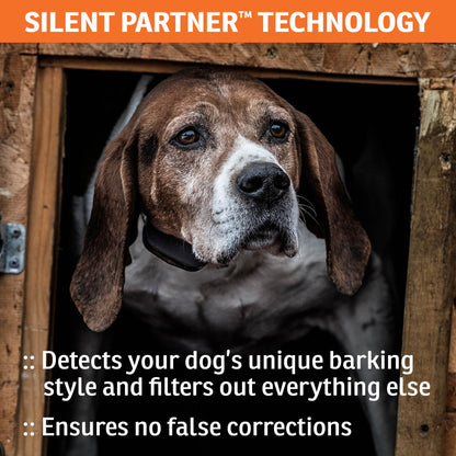 SportDOG Brand NoBark SBC-8 Bark Control Collar - Static Collar with Progressive Correction - Waterproof - Static Stimulation - Dogs 8 lbs & up