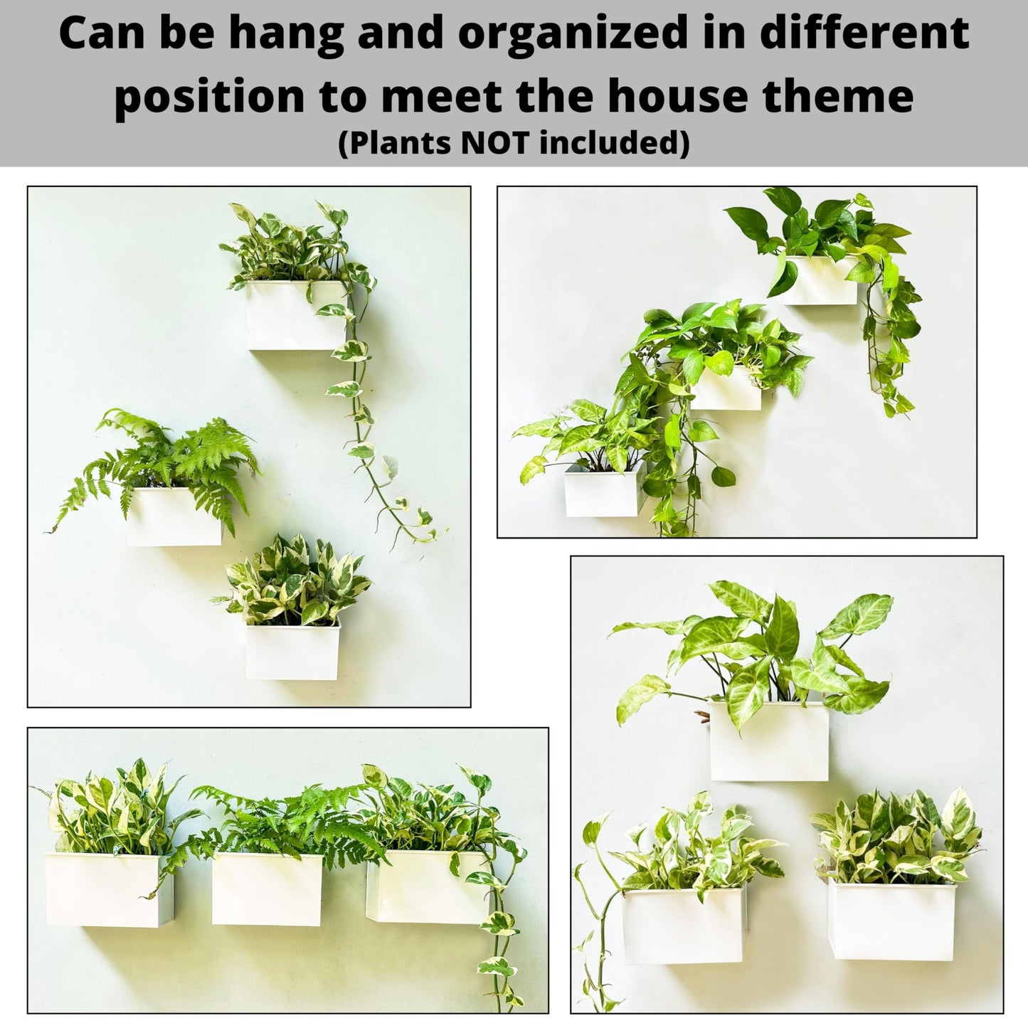 LaLaGreen Wall Planter - 3 Pack, 6 Inch Wall Mount Planters for Succulents White, Rectangular Metal Hanging Flower Pot, Window Box Fence Railing Air Plants Holders Plant Shelf Indoor Rustic Decor