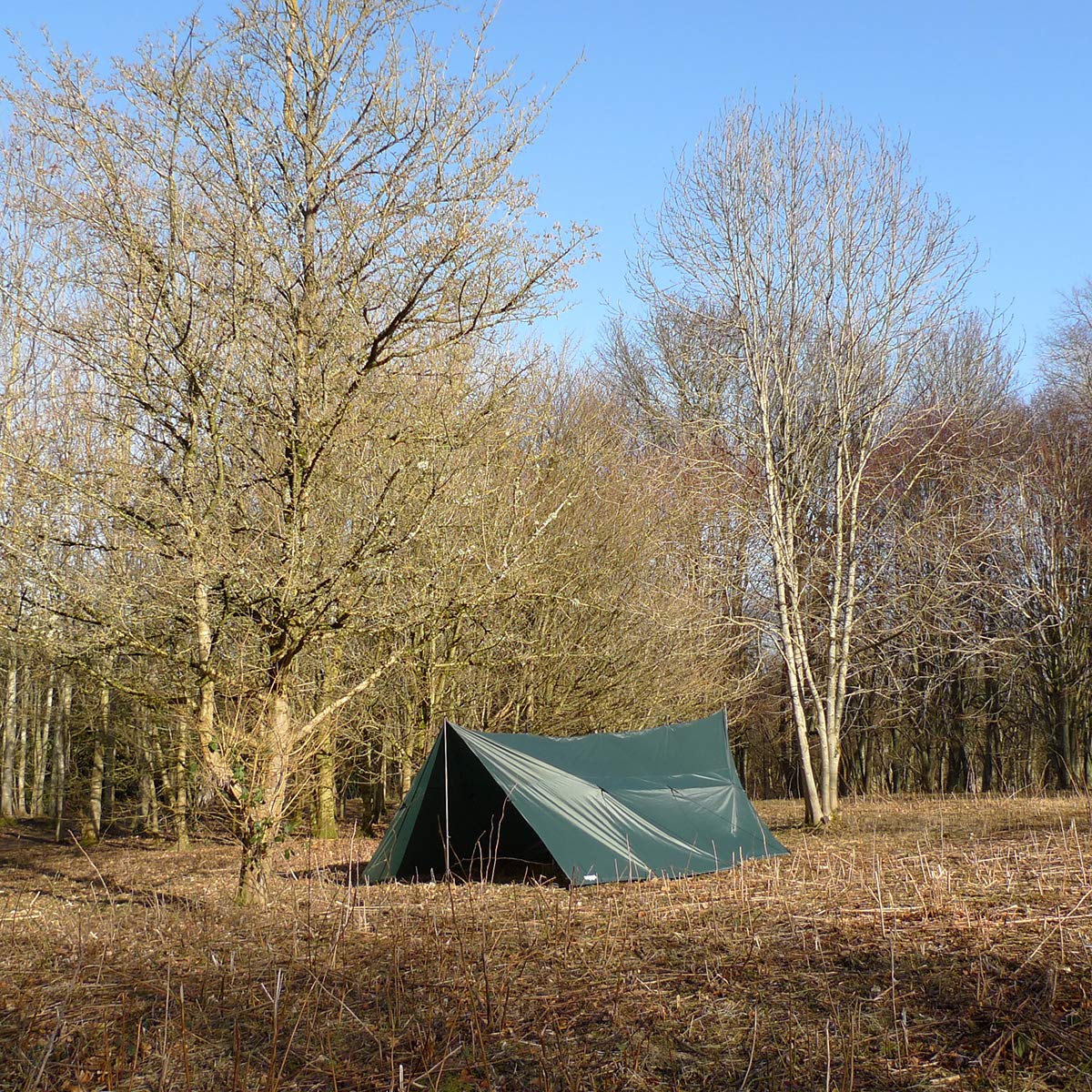 DD Hammocks - DD Tarp 5x5 - Olive Green (16ft x 16ft) - 100% Waterproof Lightweight & Multifunctional Rainfly Extra Large Tarp Tent Group Shelter for Camping Day Trips Adventure & Scouts