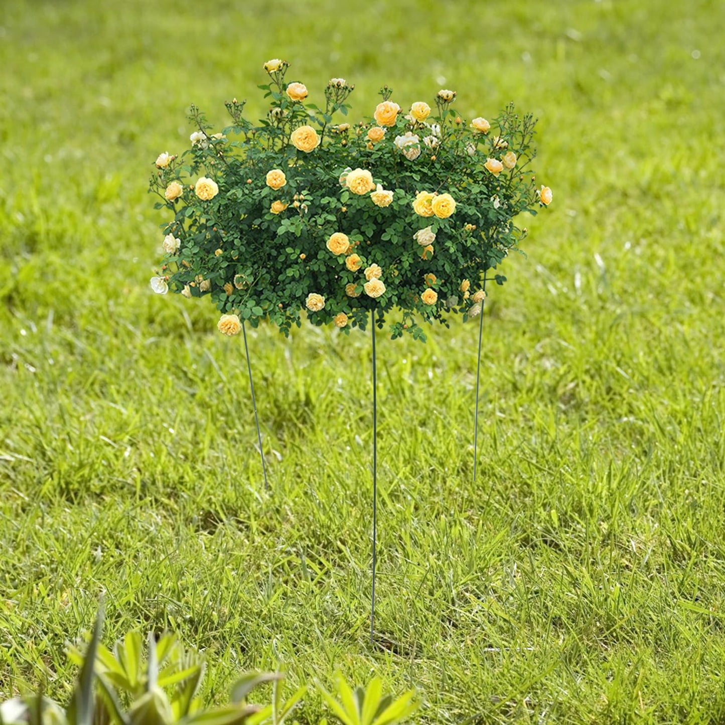 BESPORTBLE Garden Vine Plant Trellis Climbing Support Stand Metal Frame Green 30x45cm for Outdoor Indoor Potted Plants