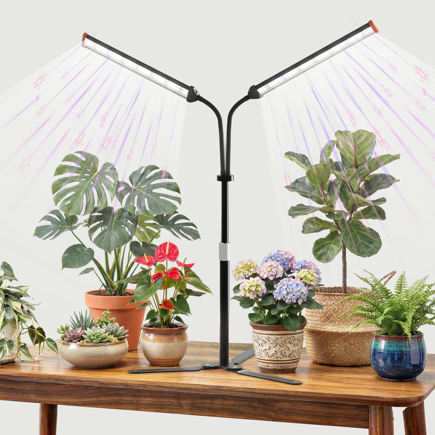 GooingTop Grow Light for Indoor Plants,5000K Full Spectrum Growing Plant Lamp with White Red Blue LED for Pots Succulents Seed Starting,Height Adjustable 10-32'' with Optional Dimming & Timer