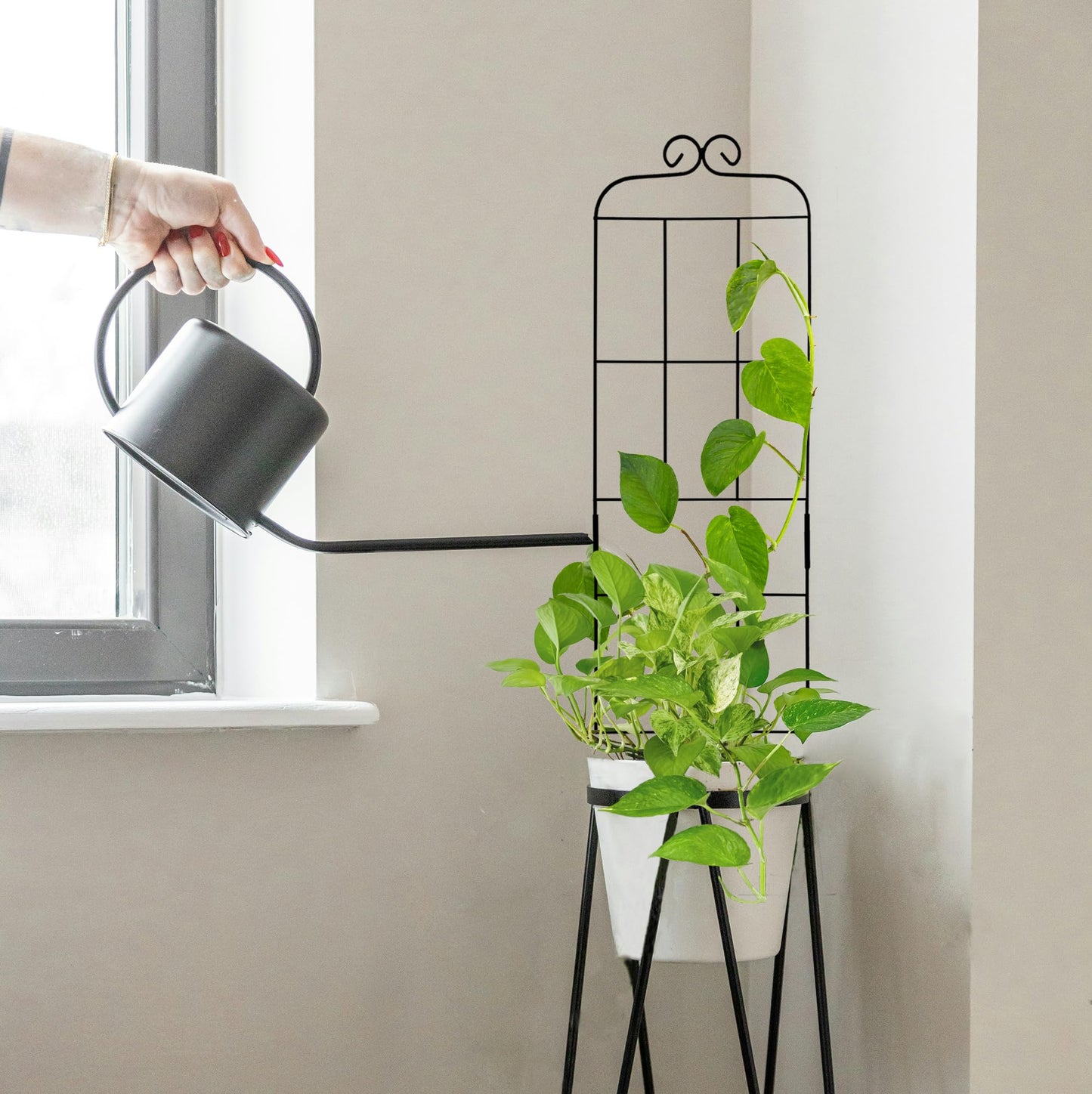 4 Pack 31'' Plant Trellis for Climbing Plants Indoor & Outdoor, Metal Trellis for Potted Plants, Plant Support for Houseplant, Vines, Pothos, Rose, Ivy, and Flowers, Black