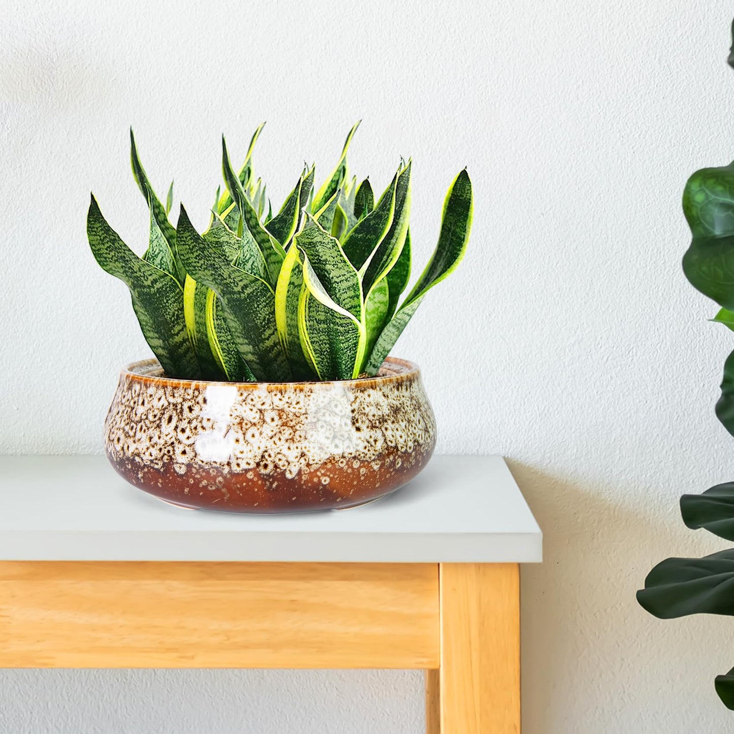 ARTKETTY Succulent Pots - 8 Inch Plant Pot, Large Bonsai Pots with Drainage, Ceramic Planters for Indoor Outdoor Plants, Round Shallow Cactus Flower Plant Container Bowl Decorative Home Garden