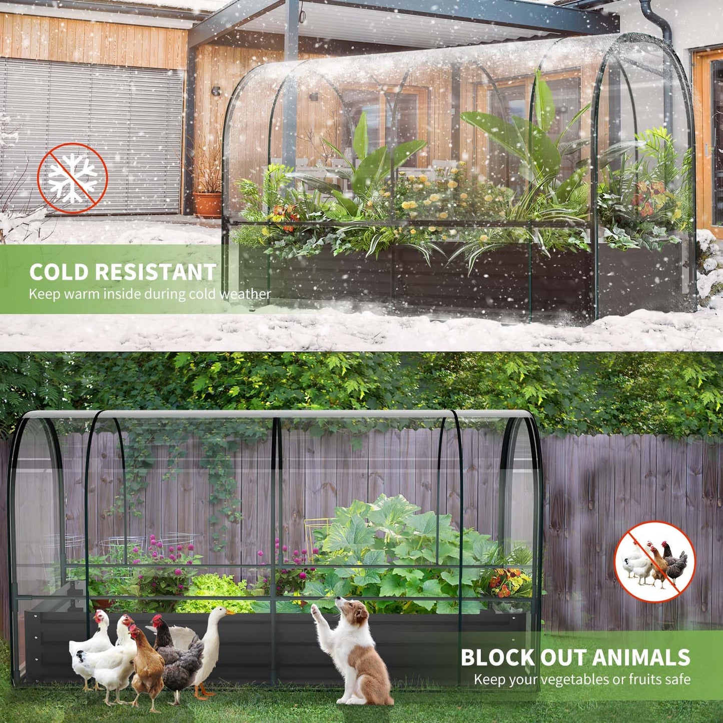 DoCred Galvanized Raised Garden Bed with PVC Cover, 72.8" x 37.4" x 47.2" Metal Planter Bottomless Box w/ Roll-Up Window, Mini Greenhouse Tent for Outdoor Growing Vegetables Flower Fruit