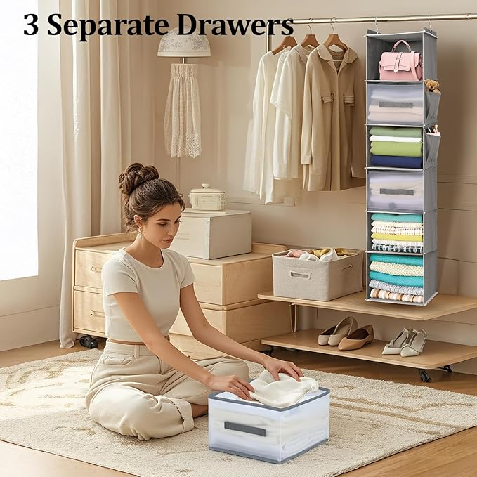 6-Tier Hanging Closet Organizer