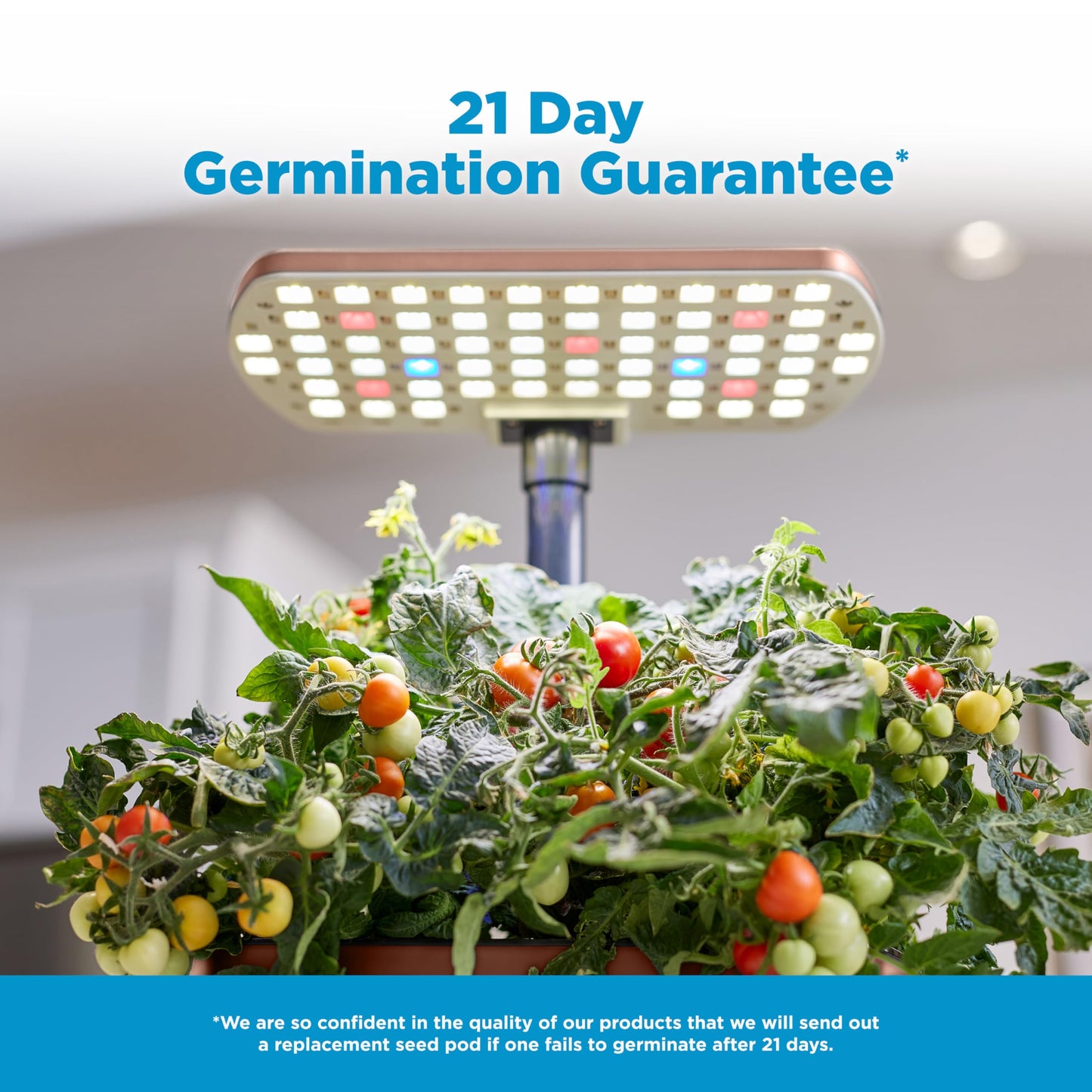 AeroGarden Harvest Lite in Mocha, Soil-Free Indoor Hydroponic Garden with LED Grow Light for Year-Round Gardening of up to 6 Herbs and Vegetables