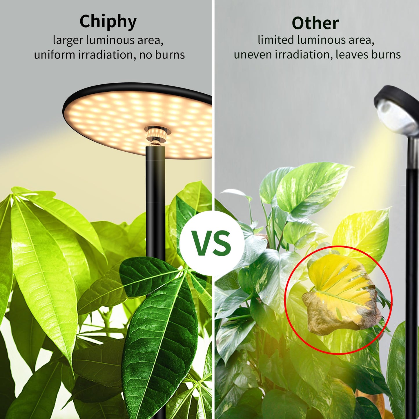 chiphy Desk Grow Lights for Indoor Plants, Full Spectrum LED Plant Light, 40W Aluminum Tabletop Grow Lamp, Automatic Timer 4H/8H/12H, 16''-30'' Height Adjustable, Remote for Large Small Plants