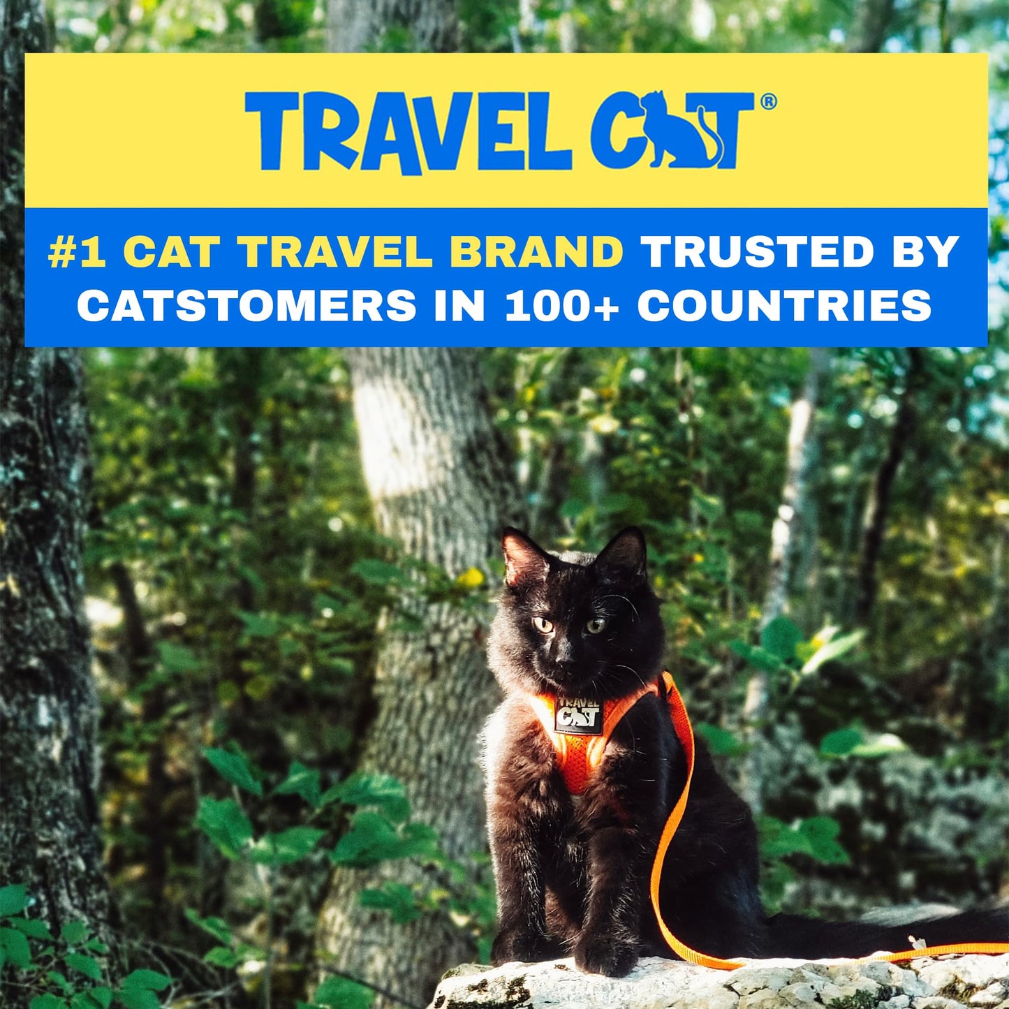 Travel Cat Harness and Leash Set - Adjustable Fit Mesh Cat Harness and Reflective Strap - Comfort Walking Vest for Kitten for Outdoor Walking, Hiking (Medium, Orange)