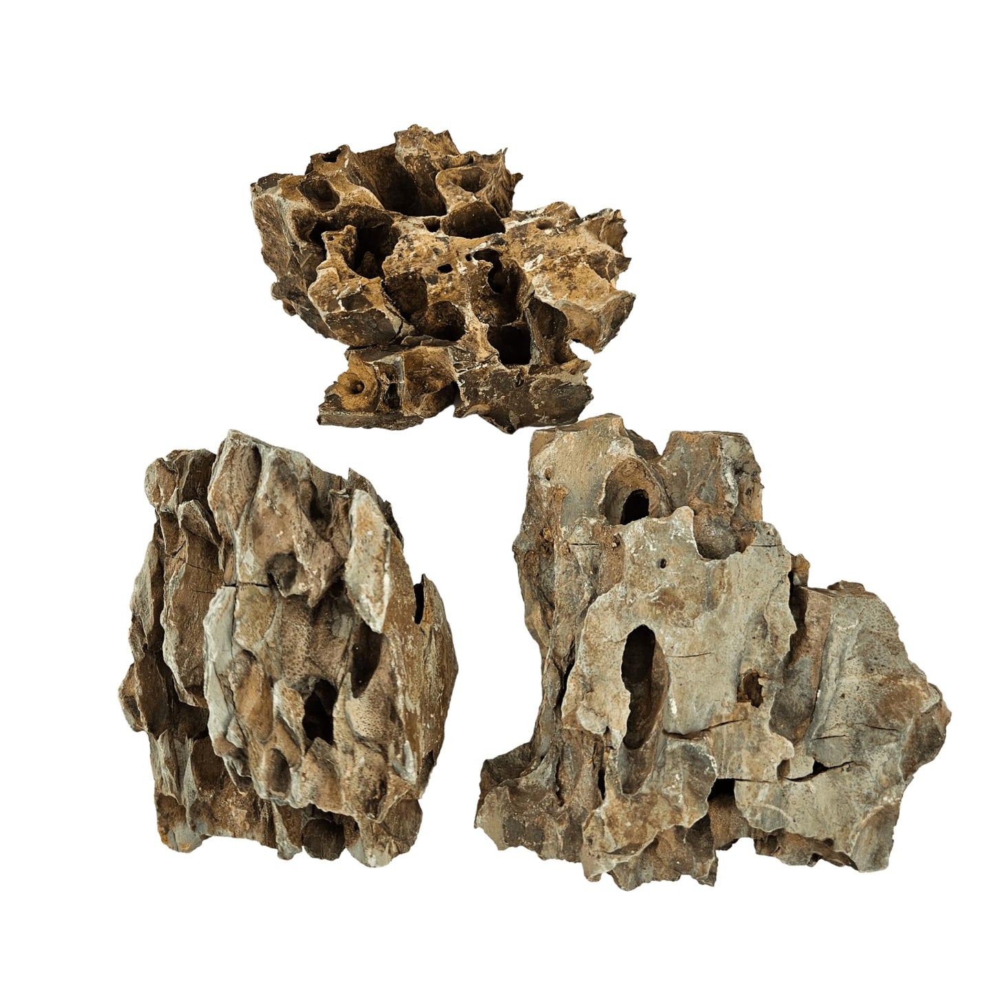 Lifegard Aquatics Dragon Ohko Rock. (for Decoration, Ponds, Fish Tank, Aquarium & Aquascaping) (1 lbs)