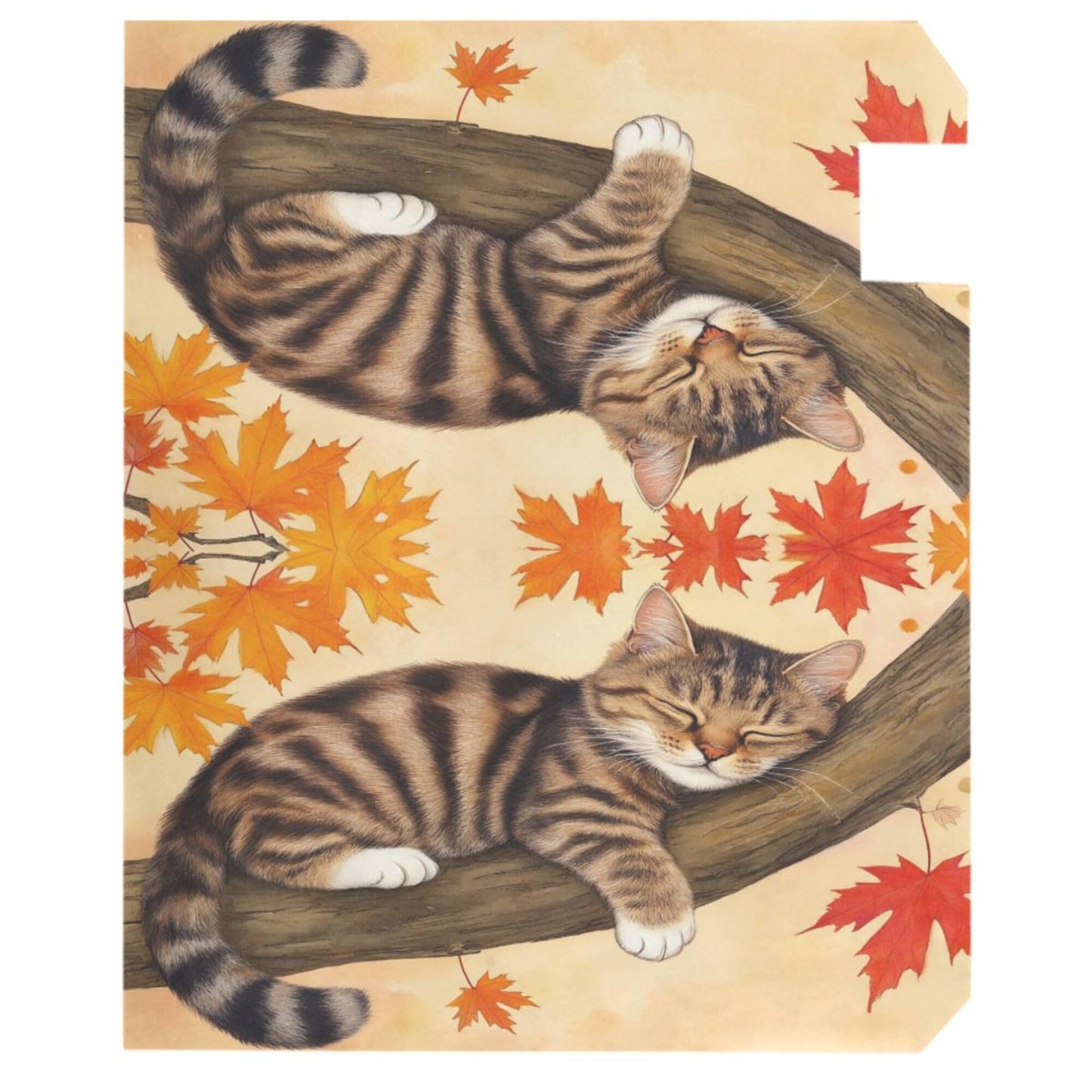 Wamika Fall Cat Sleeping Magnetic Mailbox Covers Autumn Kitty Maple Leaves Mailbox Cover Over Size Full Magnet Garden Yard Porch Mail Boxes Cover Holiday Decorations 25" L x 21" W