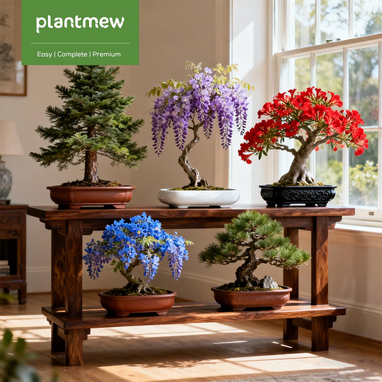 Christmas Gifts & Crafts for Adults - Bonsai Tree Starter Kit with 5 Unique Japanese Trees | Complete DIY Gardening Kit for Birthday | Gifts for Women, Men, Mom, Dad, Plant Lovers