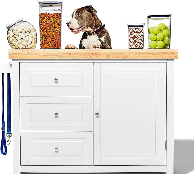 OXO Good Grips Pet POP Container – 4.4 Qt/4.2 L