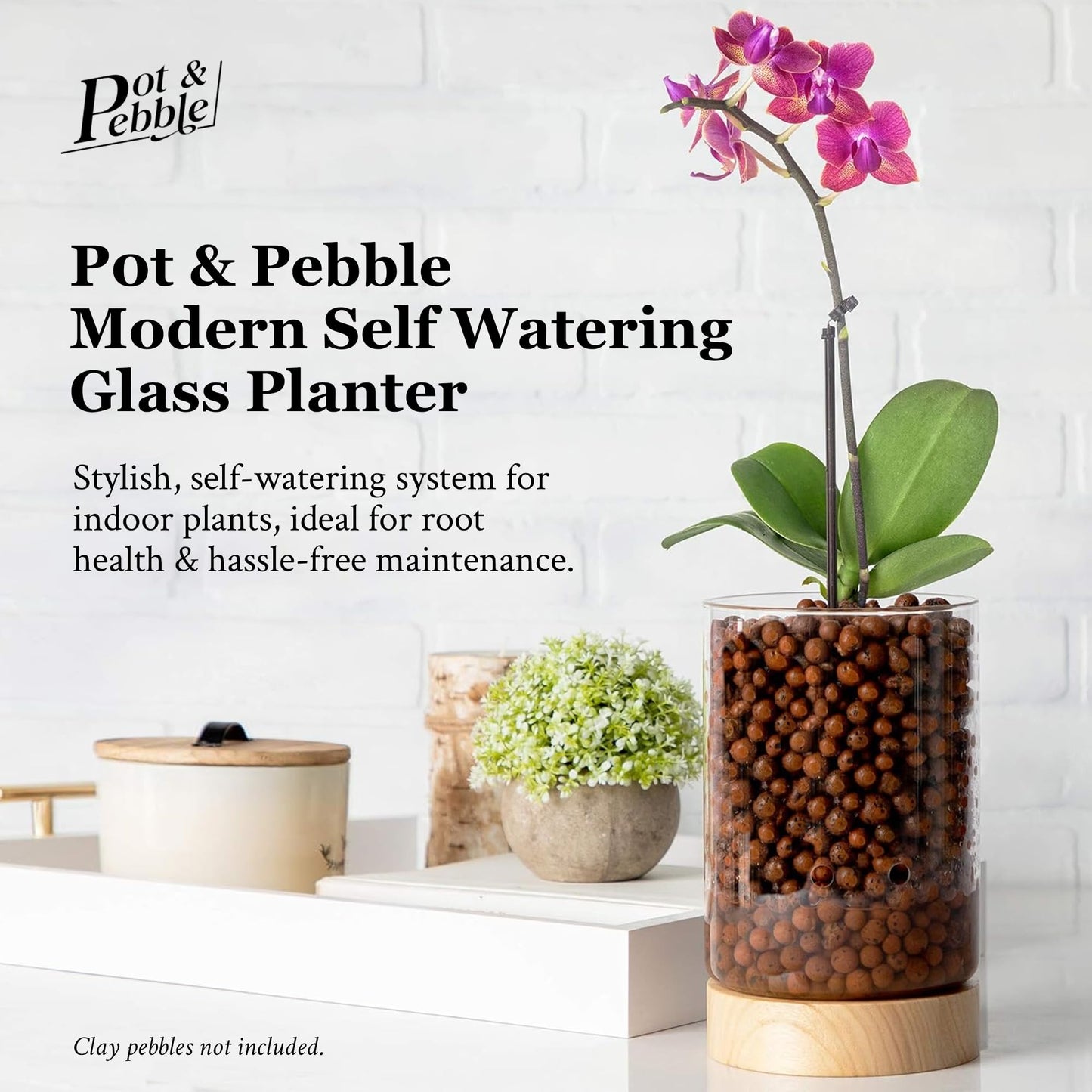 Pot & Pebble - C1 Glass Planter with Wooden Base - Indoor Glass Planter with Water Level Control Holes -Grow Plants in LECA Clay Pebbles/Similar Media - Semi Hydroponic Planter - Plant Cutting Holder