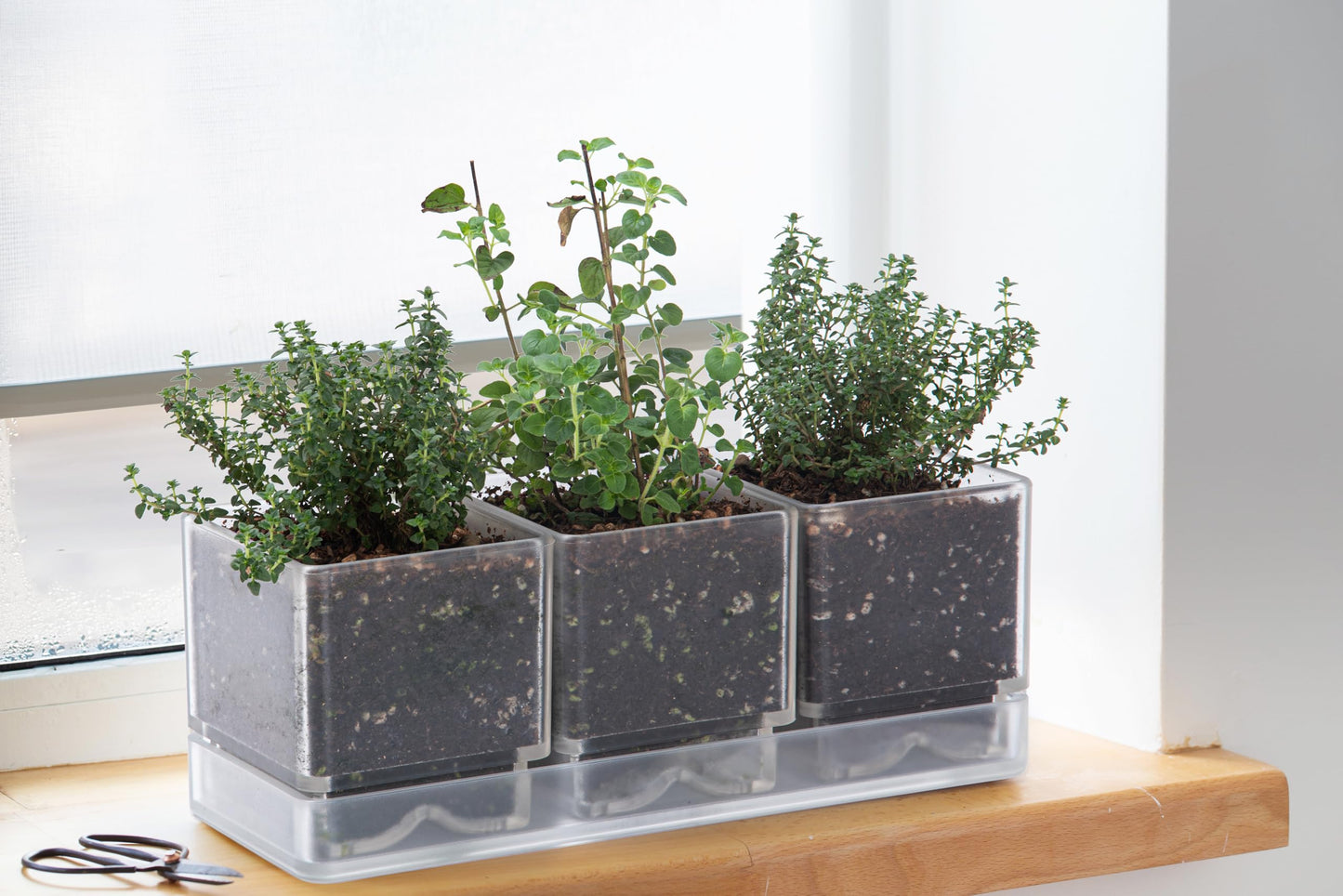 D'vine Dev Herb Garden Planter Set, Acrylic Plant Pots with Drainage and Saucer, Indoor Succulent Cactus Vegetable Pot for Windowsill, Garden Balcony, Clear, Set of 1, 76-V-D-1
