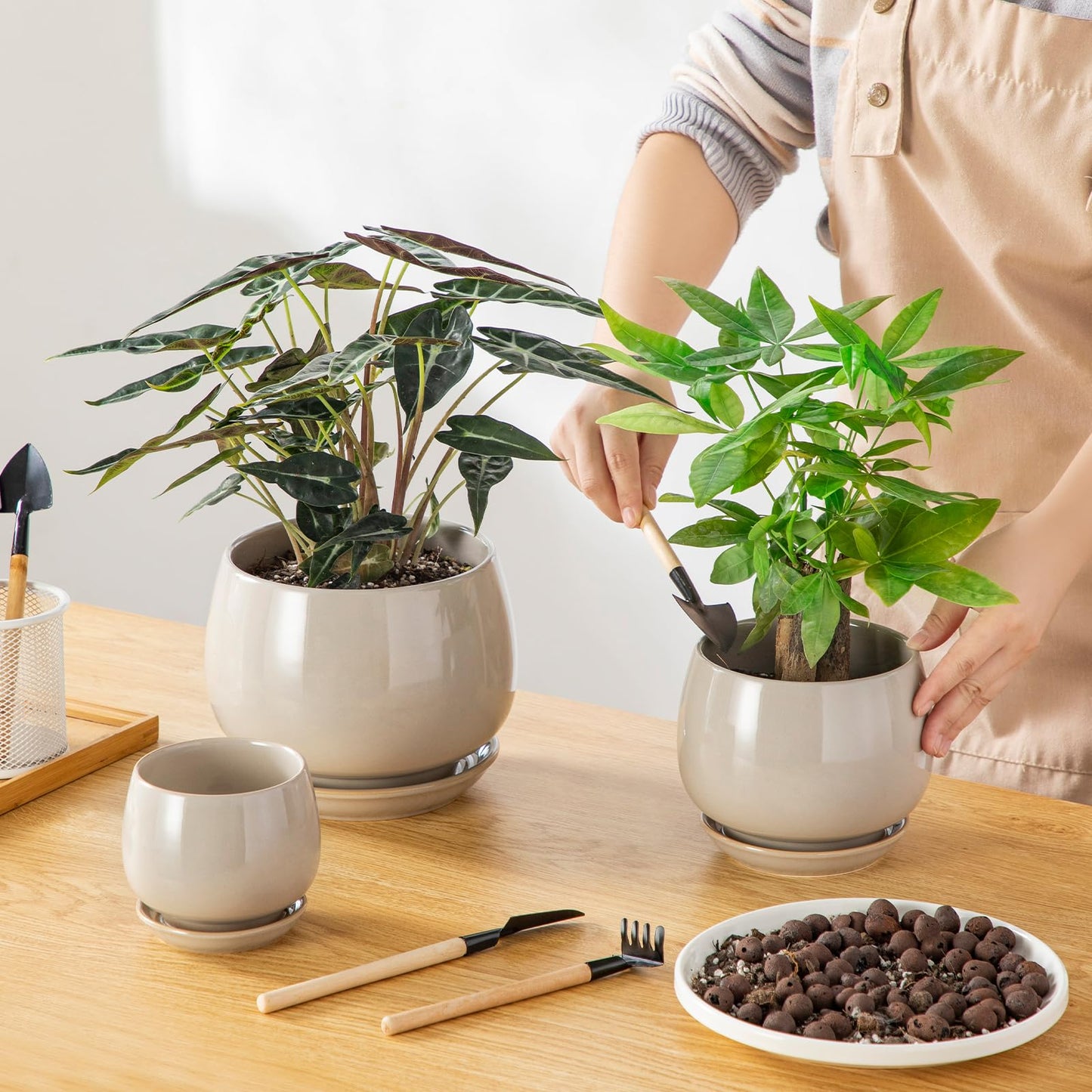 vancasso 3-Pack Ceramic Plant Pots, 3.7/4.8/6.2 Inch Indoor Planters with Saucers & Drainage Hole Planter pots for Indoor Plants and Flower, Gray