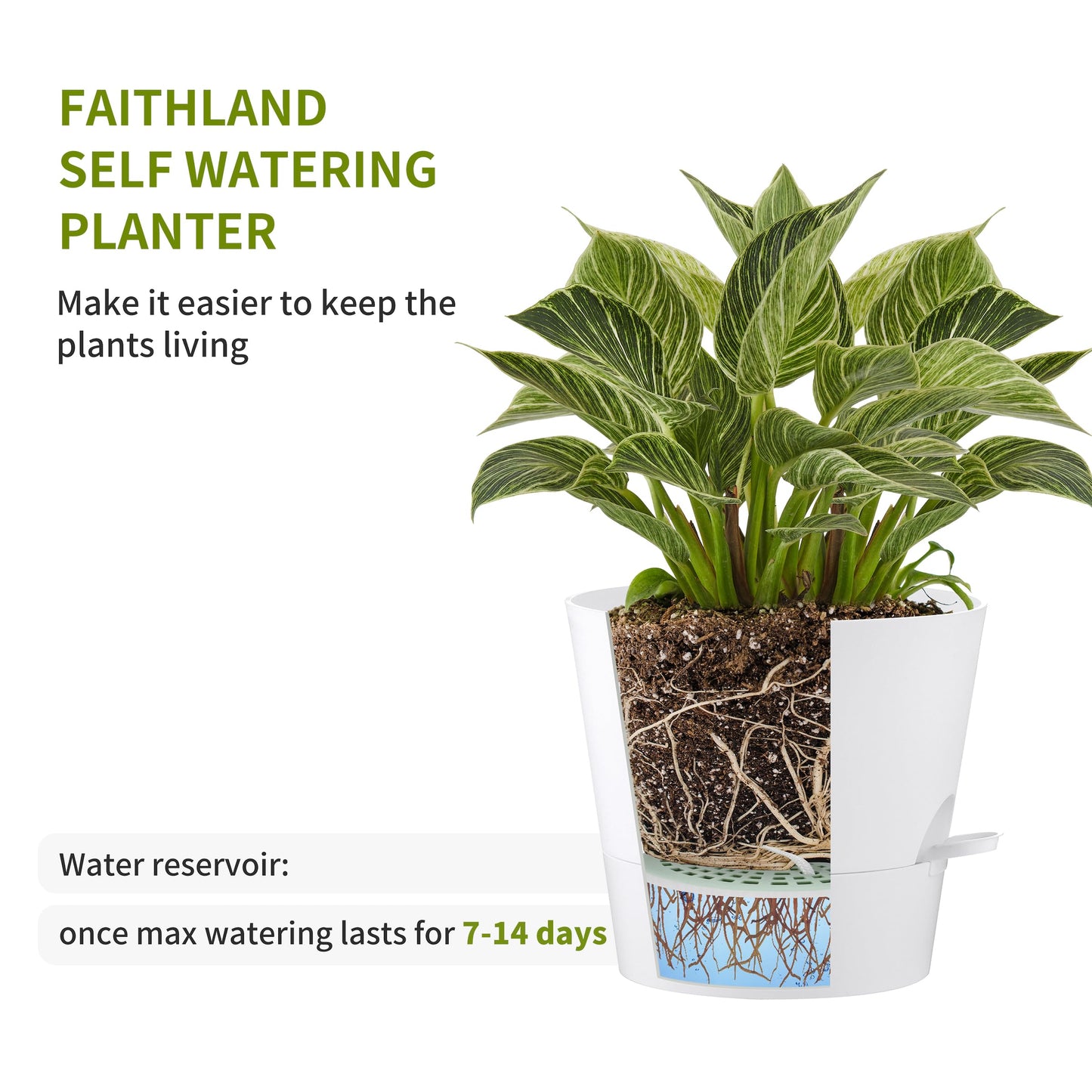 FaithLand 2-Pack 9 Inch Planter Pots for Indoor Outdoor Plants, Self Watering Flower Pots with Deep Reservoir, White …