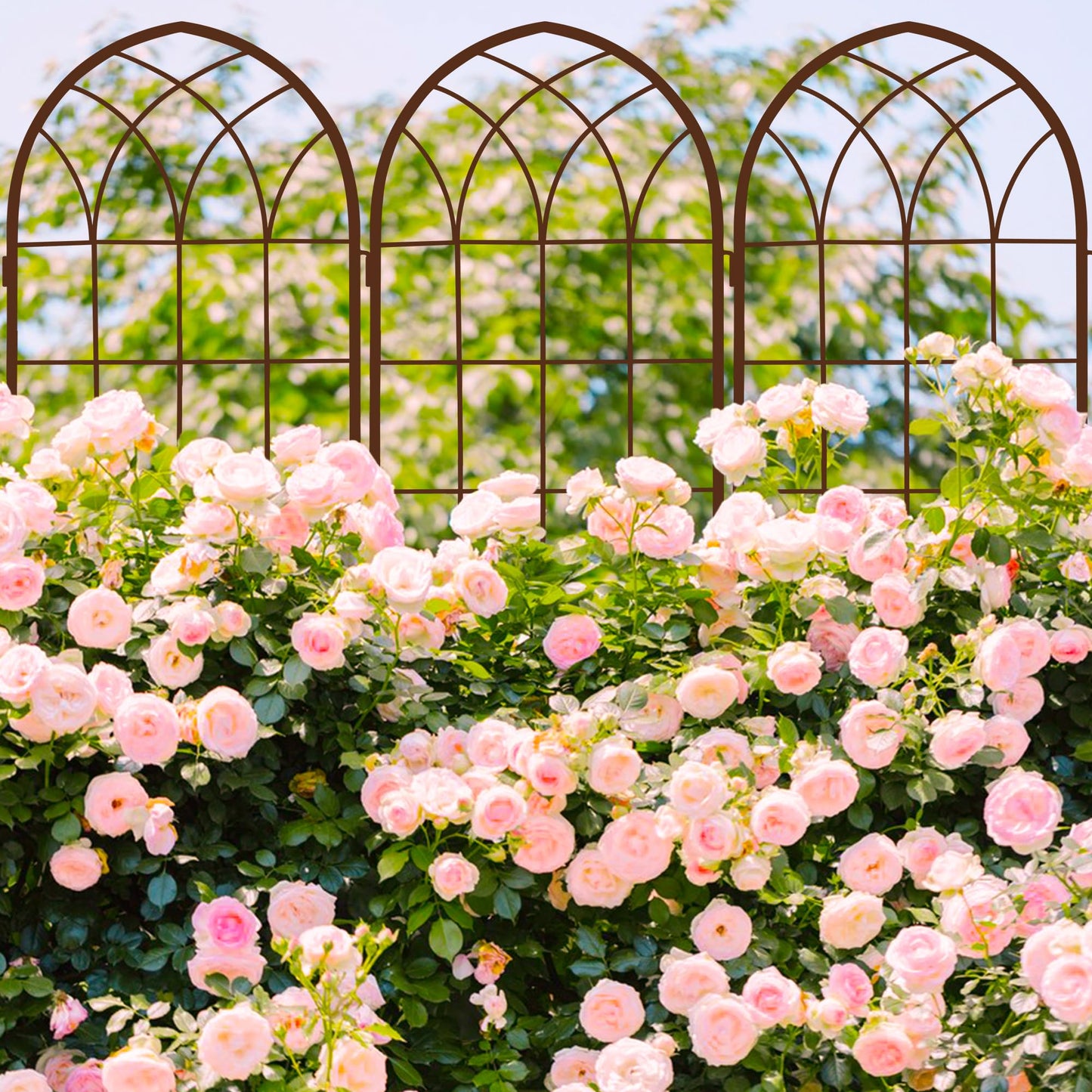 LZRS 2 Pack Rustic Iron Arch Decoration Garden Trellis with Metal Coating – Perfect for Supporting Climbing Plants Outdoor, Roses, Vines, Flowers, and Vegetables, Brown