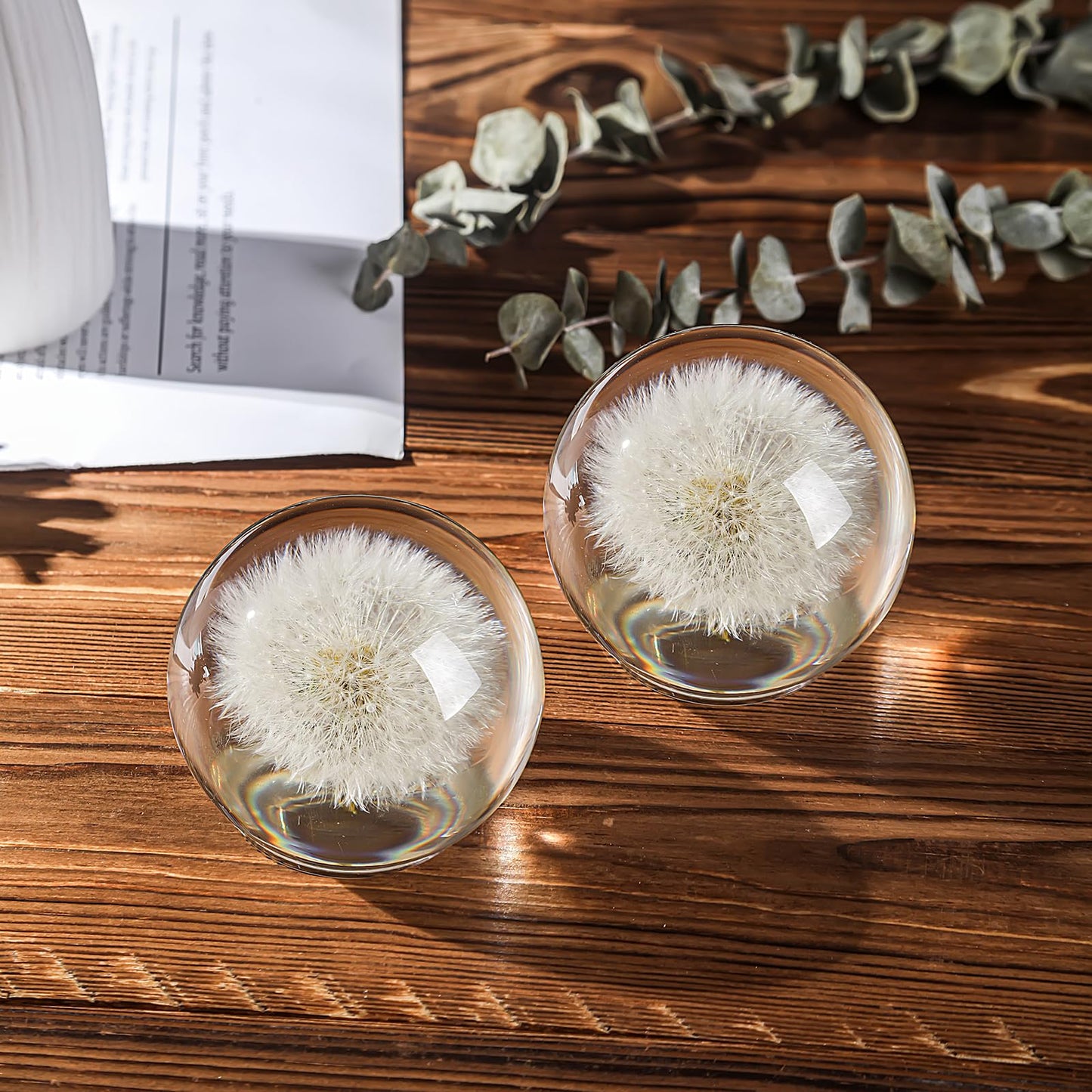 1st Heaven Dandelion Paperweight in Crystal – Real Preserved Dandelion, Symbol of Hope, Luck, or New Beginnings – Elegant Gift with Gift Box & Card (3.1 in)