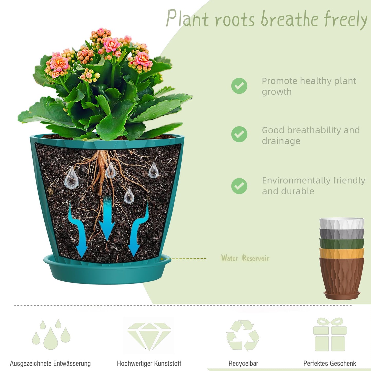 SQKH 6 Inch Plant Pots, 6 Pack Indoor Flower Pots, Planters with Drainage Holes and Trays for Orchids, Violets, Succulents, Herbs, and Other Plants,Corolful