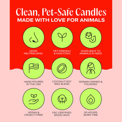 Companion Candles Anywhere with You Pet-Friendly Scented Candle – Grapefruit & Vanilla Fragrance - Coconut Soy Wax Candle with Wooden Wick, Approx. 50-Hour Burn Time, Made in USA, 11.8 oz