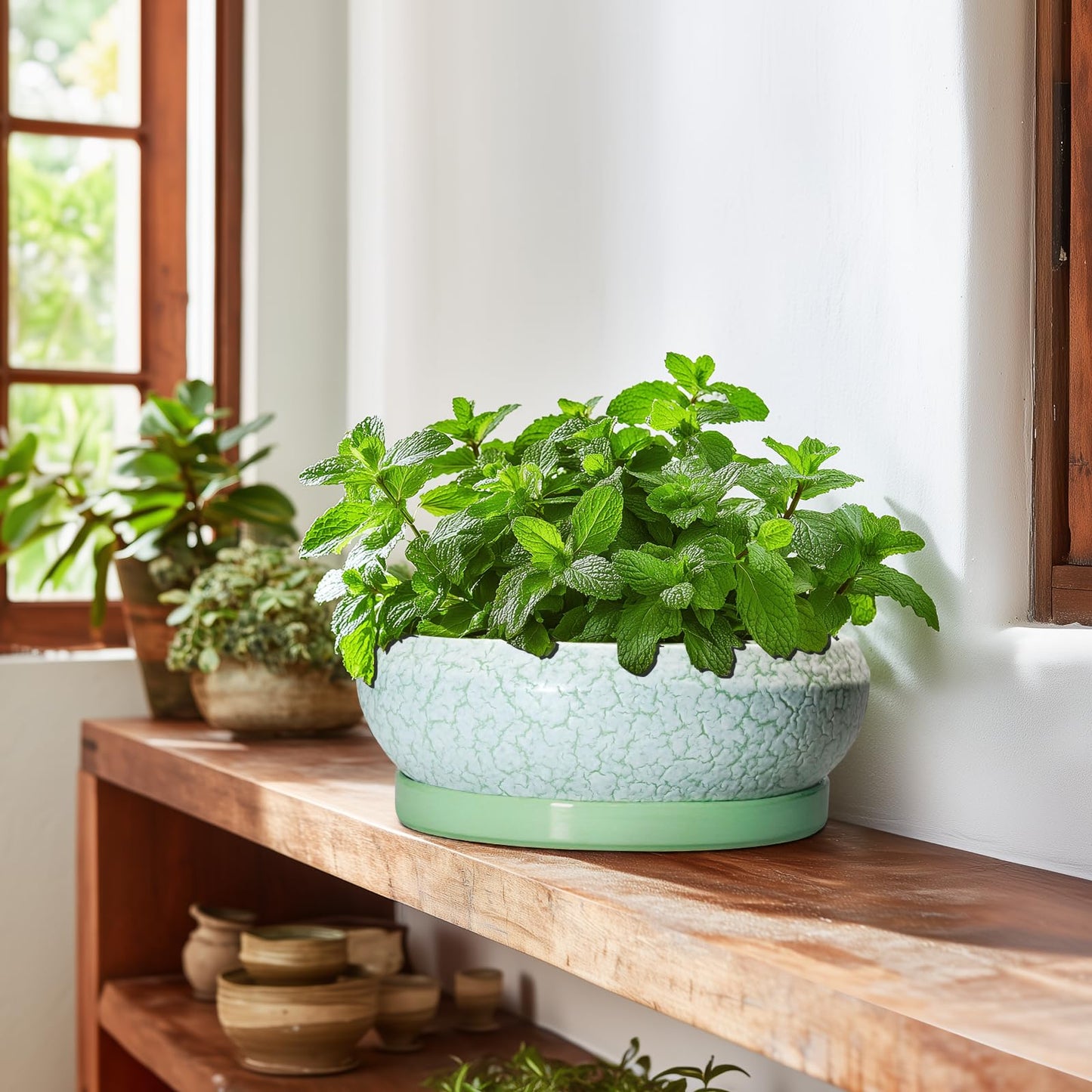 EPFamily Bonsai Pots - 10 Inch Ceramic Succulent Pot with Drainage Hole and Plant Saucer, Succulent Planters for Indoor Outdoor, Round Planter Bowl, Shallow Planter, Home Decor, Gardening Gift, Green