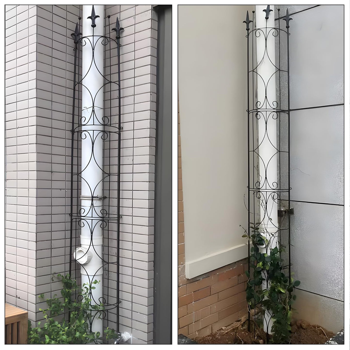 Thealyn Garden Trellis 2 Pack 72'' H x 12'' W Metal Plant Trellis Indoor/Outdoor Metal Garden Trellis Plant Trellis for Potted Plants Climbing Houseplants Flowers