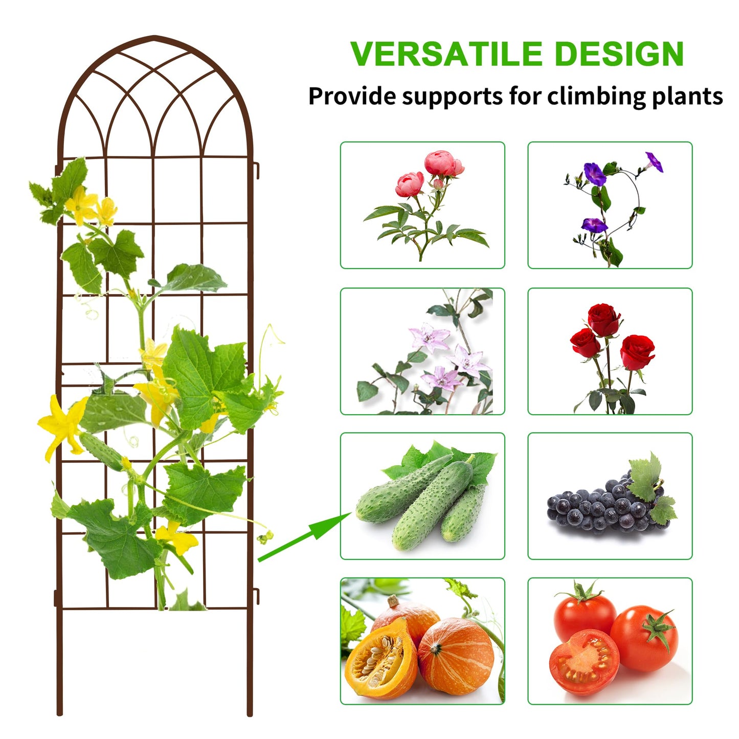 LZRS 2 Pack Rustic Iron Arch Decoration Garden Trellis with Metal Coating – Perfect for Supporting Climbing Plants Outdoor, Roses, Vines, Flowers, and Vegetables, Brown