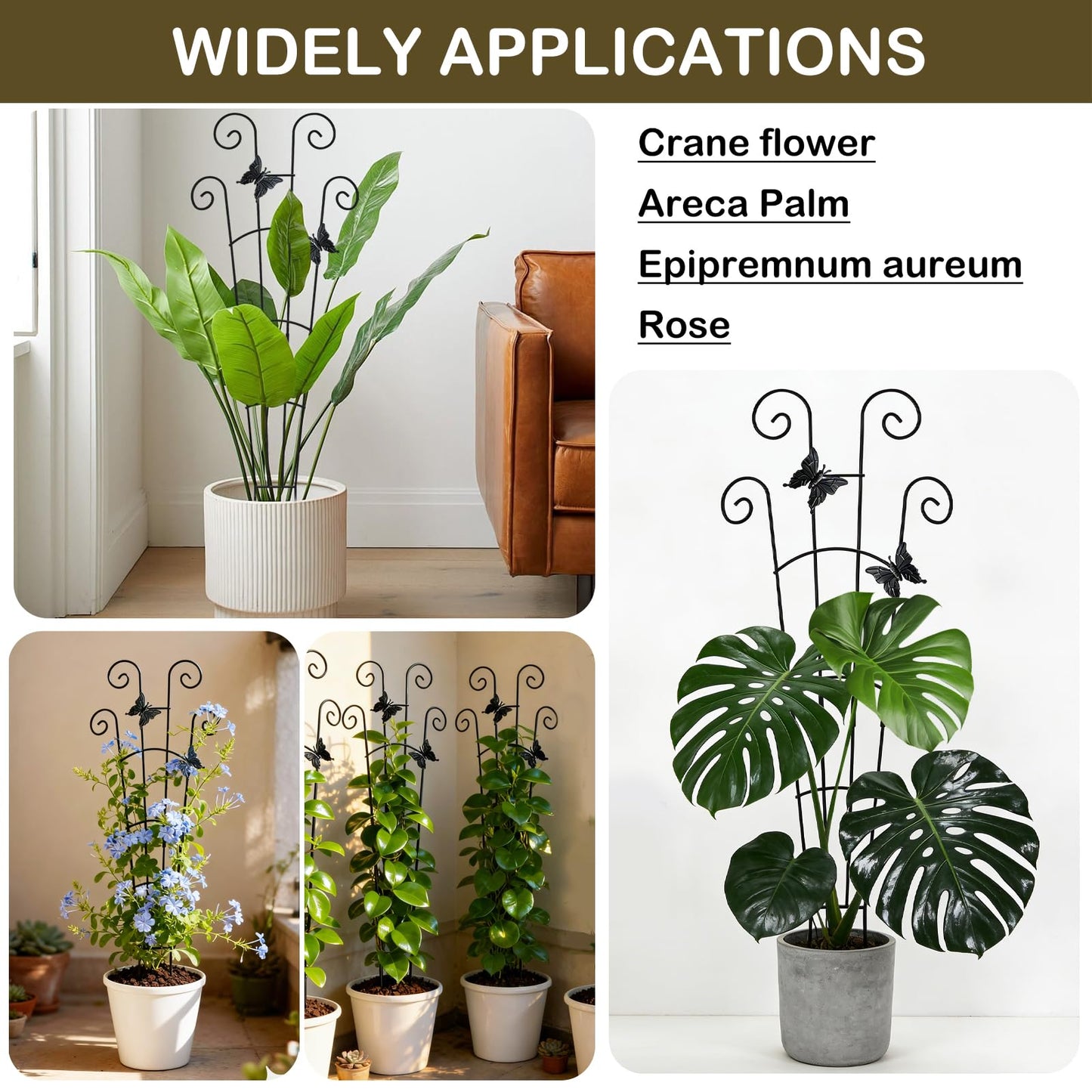 Trellis for Climbing Plants Indoor 4 Pack 30 Inch,Rustproof Metal Garden Trellis for Potted Plants,Sturdy Houseplant Support Indoor Outdoor for Ivy Pothos Monstera Hoya Flower Vine ﻿ ﻿ ﻿ ﻿
