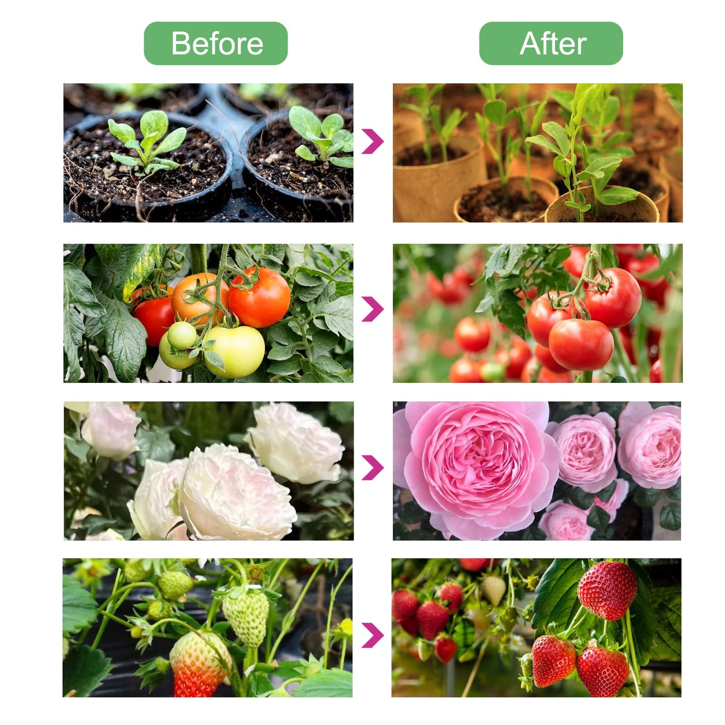 ELITUN Grow Lights for Indoor Plants, 3000k/5000k/660nm Full Spectrum Plant Light with 3/9/12H Timer, 9 Brightness Levels, Auto ON/Off, 3 Heads Clip 126 LEDs Plant Grow Lamps