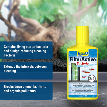 Tetra FilterActive Bacteria- mix of live starter bacteria & sludge-reducing cleaning bacteria, to support biological activity in aquarium, extend cleaning intervals & improve filter performance, 250ml