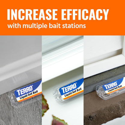 TERRO Ant Killer Bait Stations T300B - Liquid Bait to Eliminate Ants - 12 Count Stations for Effective Indoor Ant Control