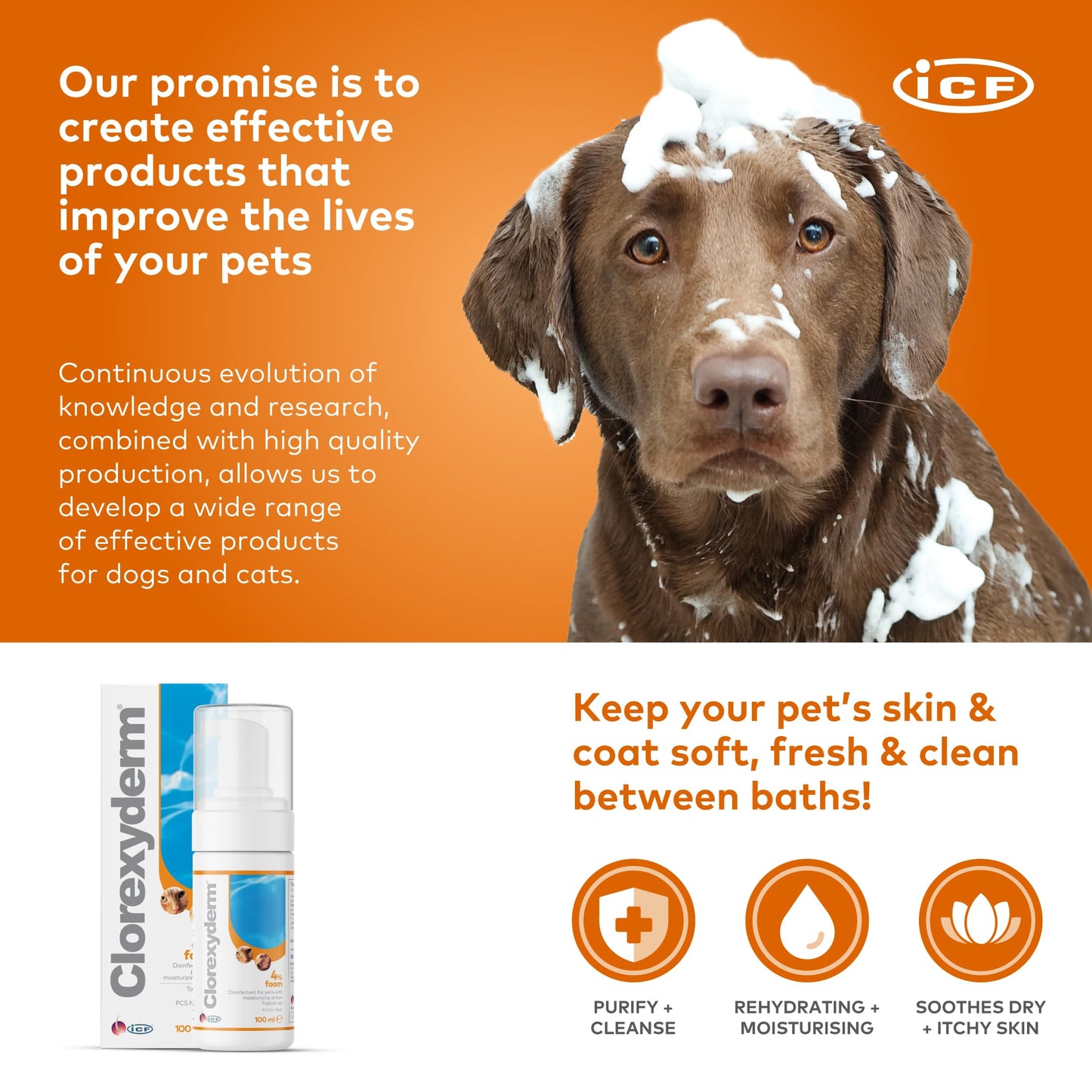 Clorexyderm 4% Foam Mousse - Dry Shampoo for Dogs & Cats - Antibacterial & Antifungal - Dry Itchy Skin Relief – Moisturises, Soothes & Softens Skin & Coat - Easy Alternative to Wet Bathing - 100 ml