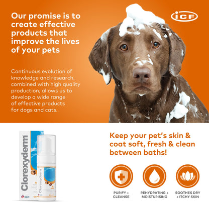 Clorexyderm 4% Foam Mousse - Dry Shampoo for Dogs & Cats - Antibacterial & Antifungal - Dry Itchy Skin Relief – Moisturises, Soothes & Softens Skin & Coat - Easy Alternative to Wet Bathing - 100 ml