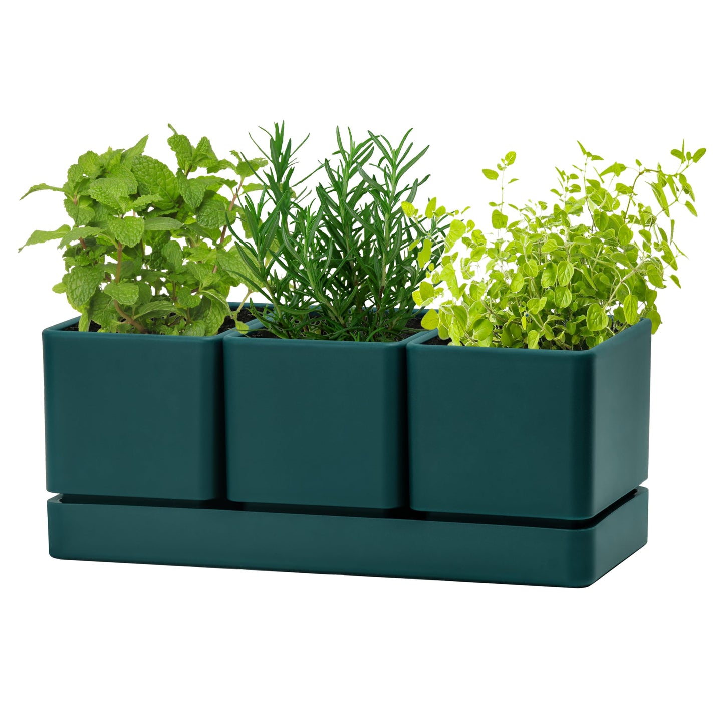 D'vine Dev Herb Garden Planter Set, Plastic Plant Pots with Drainage and Saucer, Indoor Succulent Cactus Vegetable Pot for Windowsill, Garden Balcony, Green, Set of 1, 76-V-C-1
