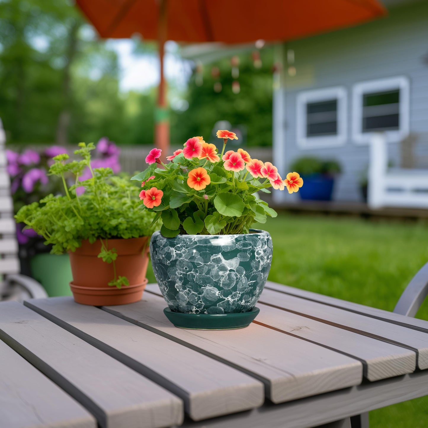 Thirtypot 6 Inch Planter - Ceramic Plant Pots Indoor with Drainage Hole and Saucer, Indoor Plant Pots for Flowers Plants, Round Modern Small Planter, Bedroom Decor, Plants Lover Gift, Bubble Green