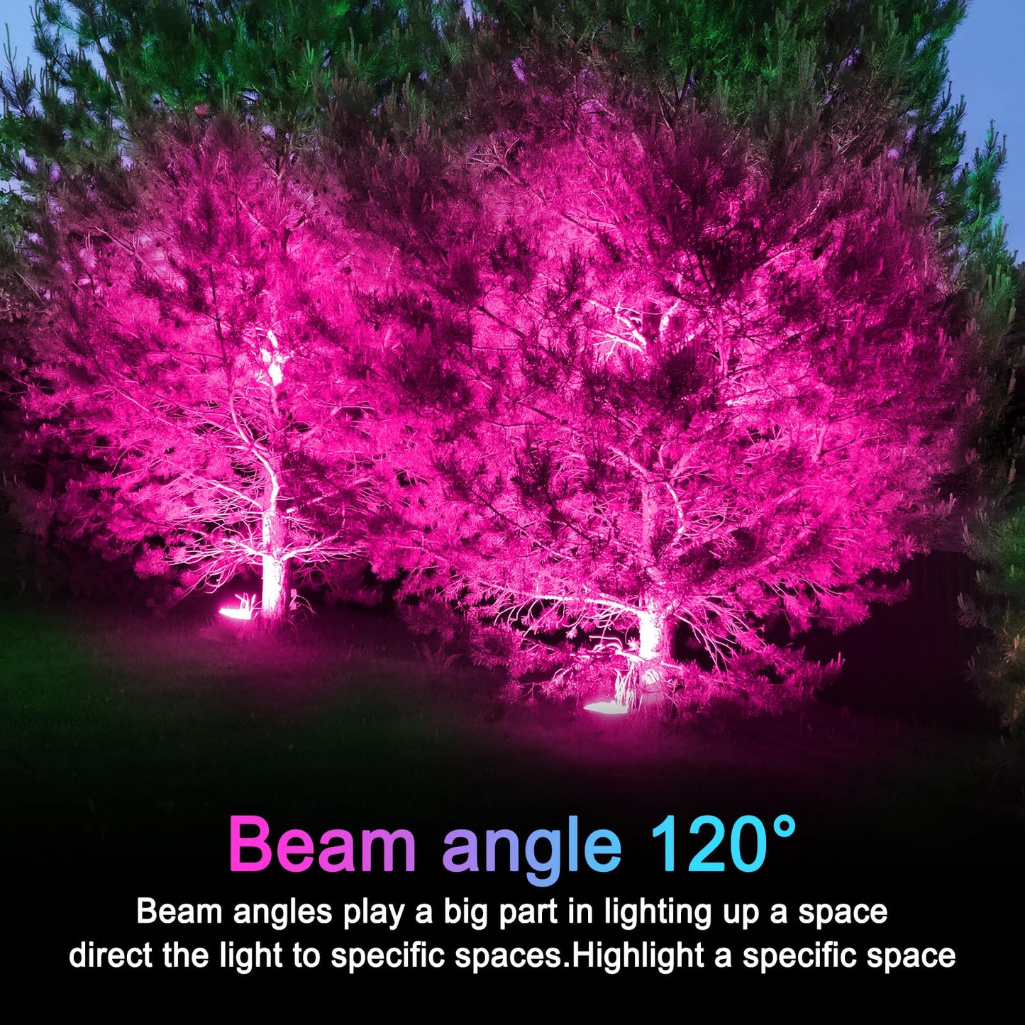 LOXYEE PAR38 Flood Pink Light Bulbs,4 Pack Dimmable,E26 Base Pink Flood Light Outoor(20W Replace to 200W),Halloween Light Bulb for Outside,Christmas,Holiday Lighting