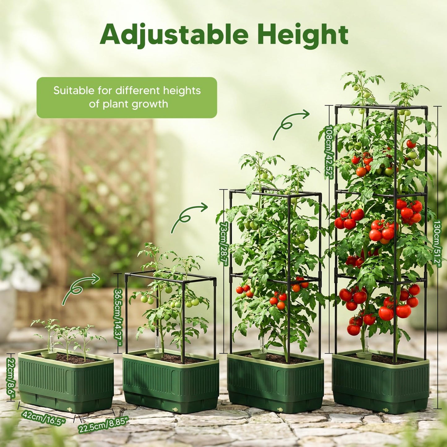 MQJIAZHI Raised Garden Bed with Tomato Cages，52"/4.3ft Tomato Planter with Trellis,Adjustable Height,Self Watering Planter Box for Vegetables & Climbing Plant Indoor Outdoor Balcony Patio (2)