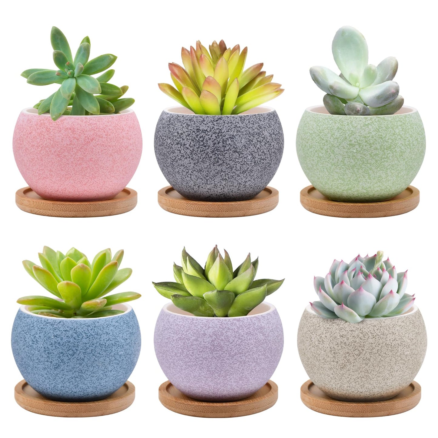 6 Pack Ceramic Succulent Pots with Drainage – Small Round Planters for Indoor Plants & Cactus, Mini Flower Pots with Bamboo Trays, Desk & Home Décor, Gift for Plant Lovers, Office, Balcony, Garden