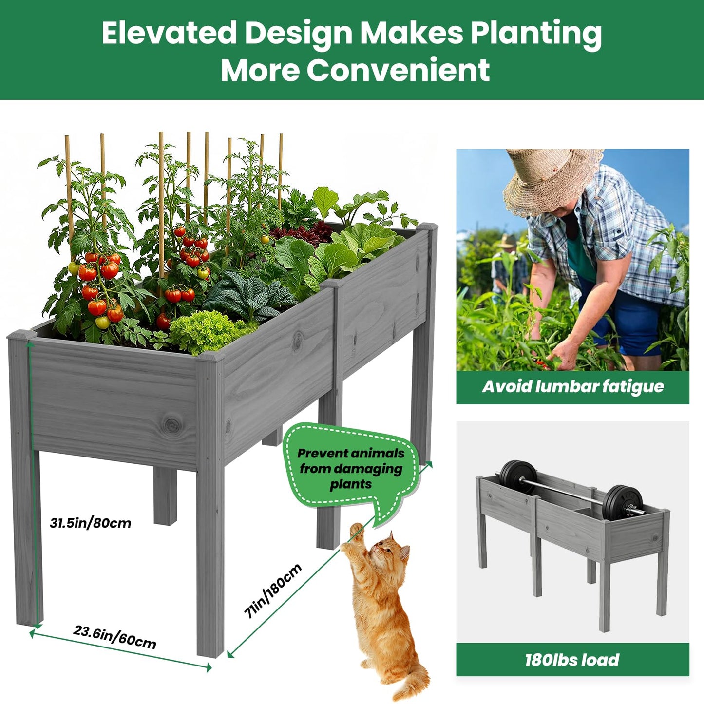 SUNYRISY Dual Wooden Raised Garden Bed Outdoor with Legs for Gardening, 71" L x 23.6" W x 31.5" H Elevated Planter Garden Box Raised Bed for Vegetable Flower Herb, Gray