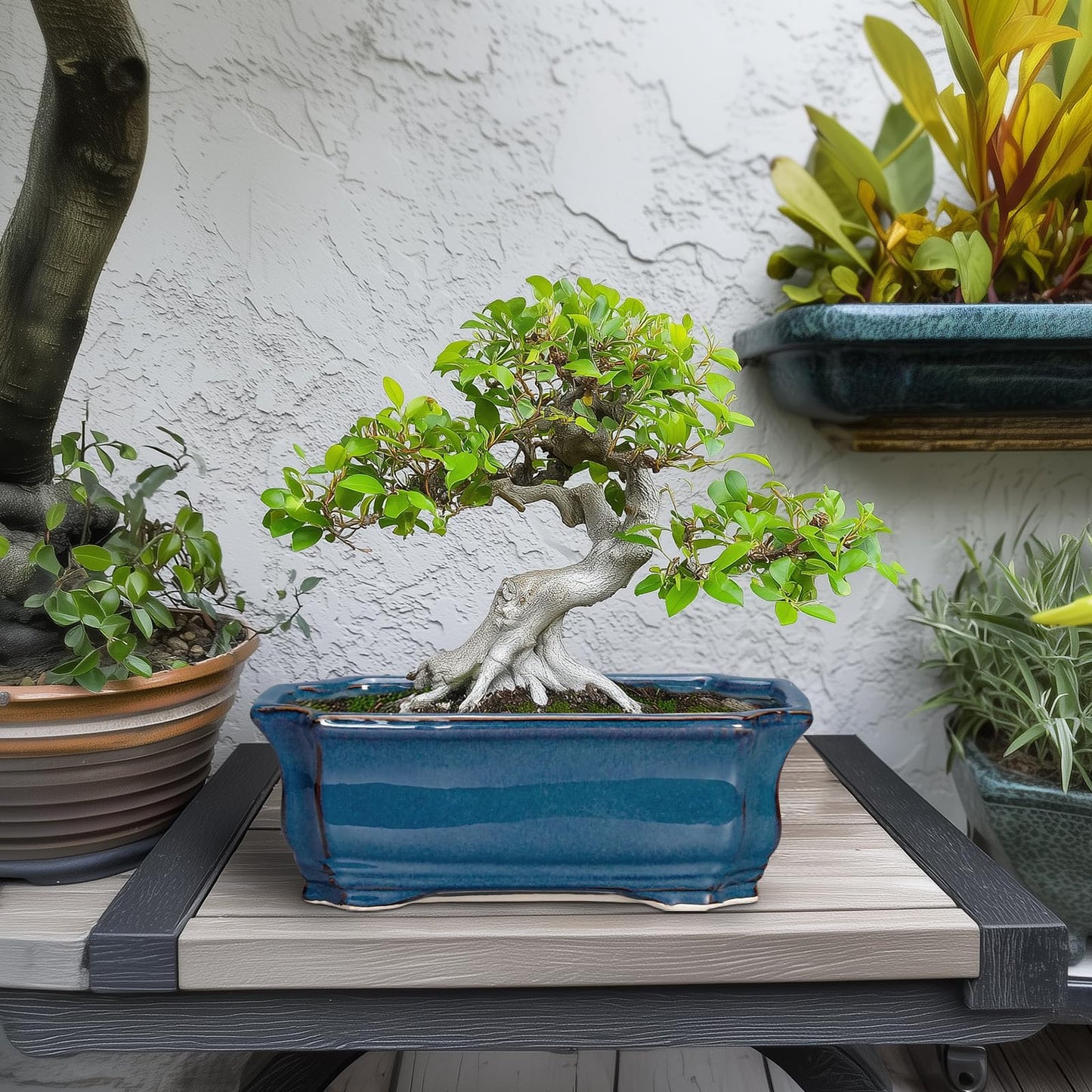 Teagas Bonsai Pots 11.6 Inch - Ceramic Succulent Pots with Drainage Hole, Rectangular Planter for Indoor Outdoor, Decorative Ceramic Flower Pot, Home Garden Room Decor, Plant Lover Gifts, Retro Blue