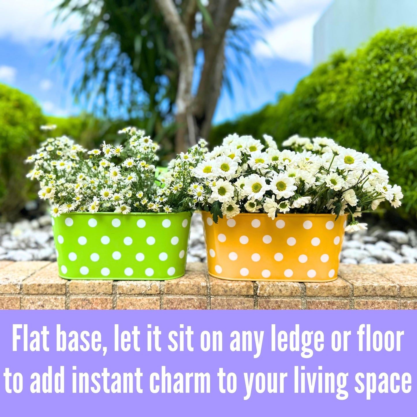 LaLaGreen Outdoor Hanging Planter (11.2 Inch, 6 Pack) Light Blue, Neon Pink, Dark Purple, Yellow, Red Metal Iron Window Box Polka Dot Herb Flower Pot Deck Railings Fence Wall Mount Porch Garden Decor