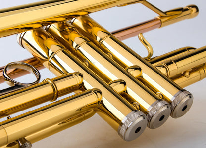 Glory Bb Trumpet - Trumpets for Beginner or Advanced Student with Case, pair of gloves-Gold