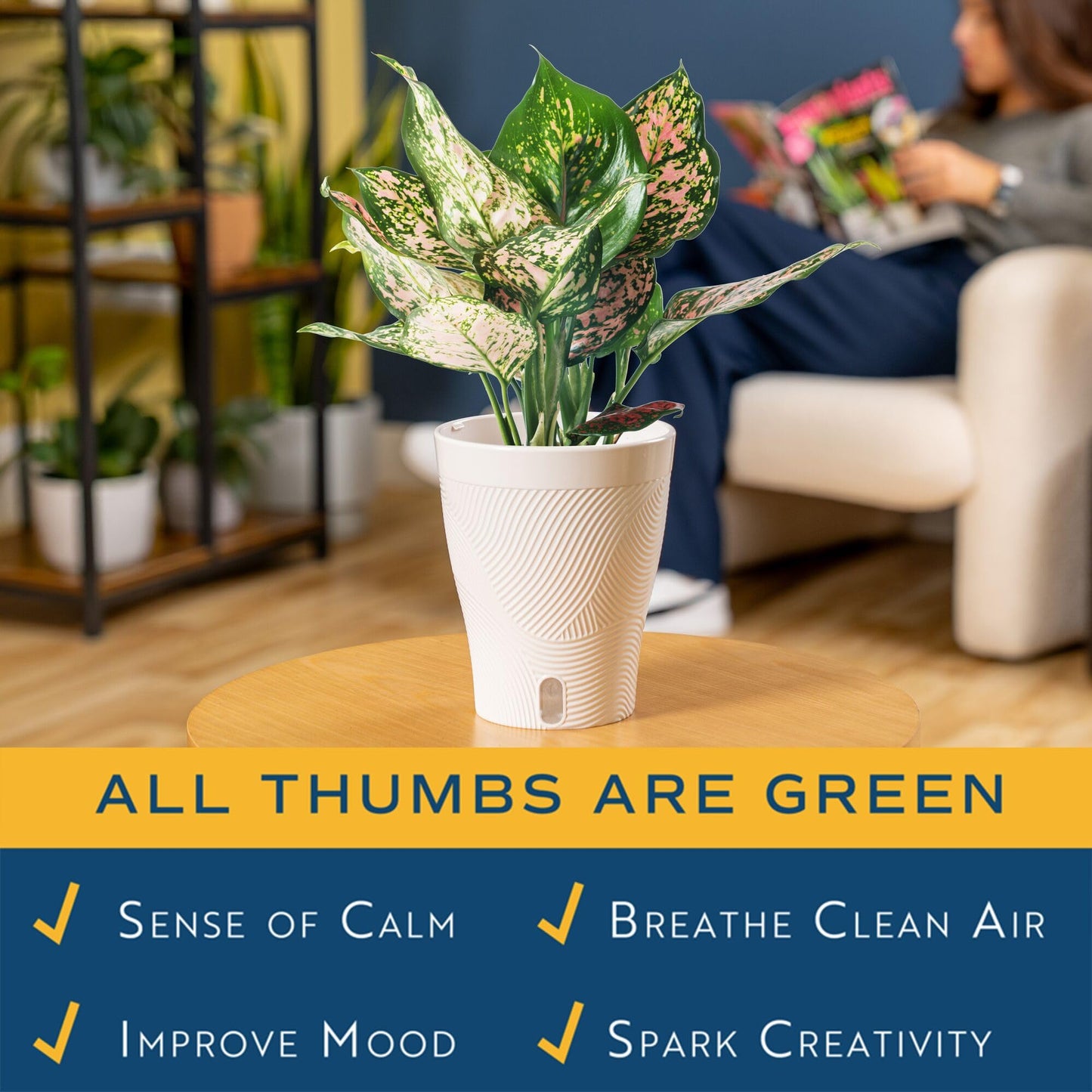Costa Farms Trending Tropicals Aglaonema Live Indoor Plant, Self Watering Décor Plant Pot, 1 Foot Tall