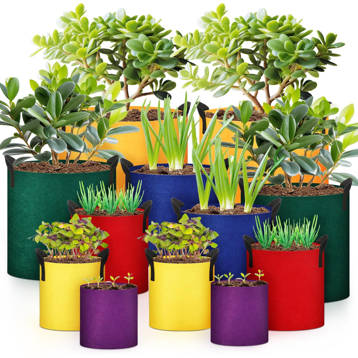 FillTouch 12 Pcs Colorful Plant Grow Bags Non Woven Fabric Pots with Handles 10 7 5 3 2 1 Gallon Garden Planting Bag for Vegetables Flowers