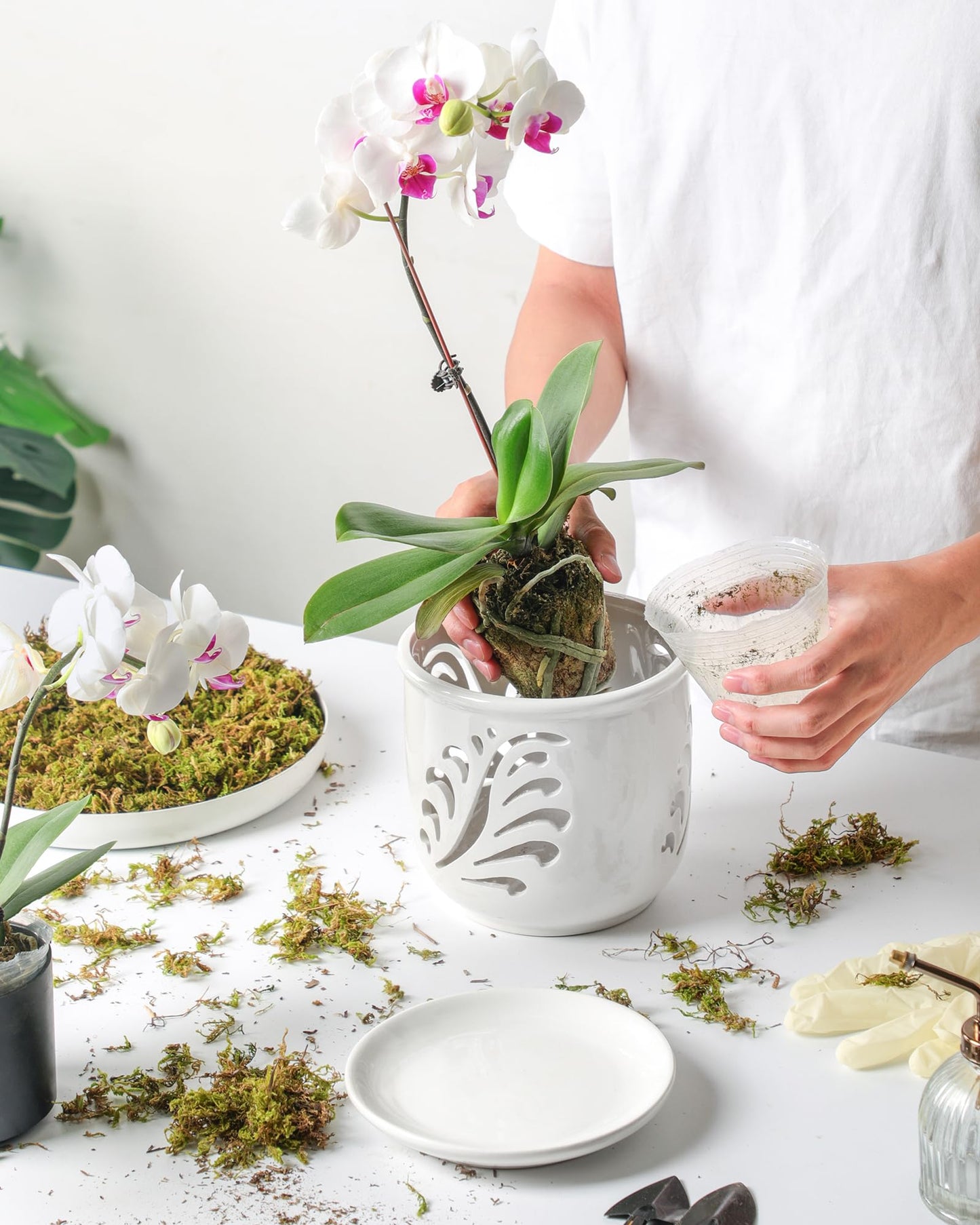 Fayoula Ceramic Orchid Pot, 6 Inch Orchid Pots with Holes and Saucer for Indoor/Outdoor Plants Drainage & Air Circulation, White Orchid Planter for Repotting or New Plants