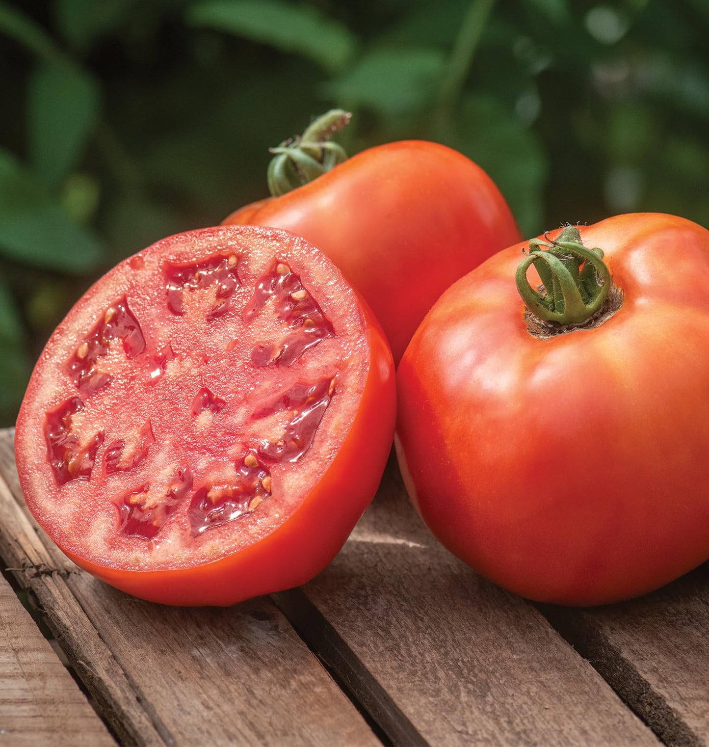 Burpee 'BushSteak' Hybrid, Red Beefsteak Slicing Tomato, 40 Non-GMO Seeds