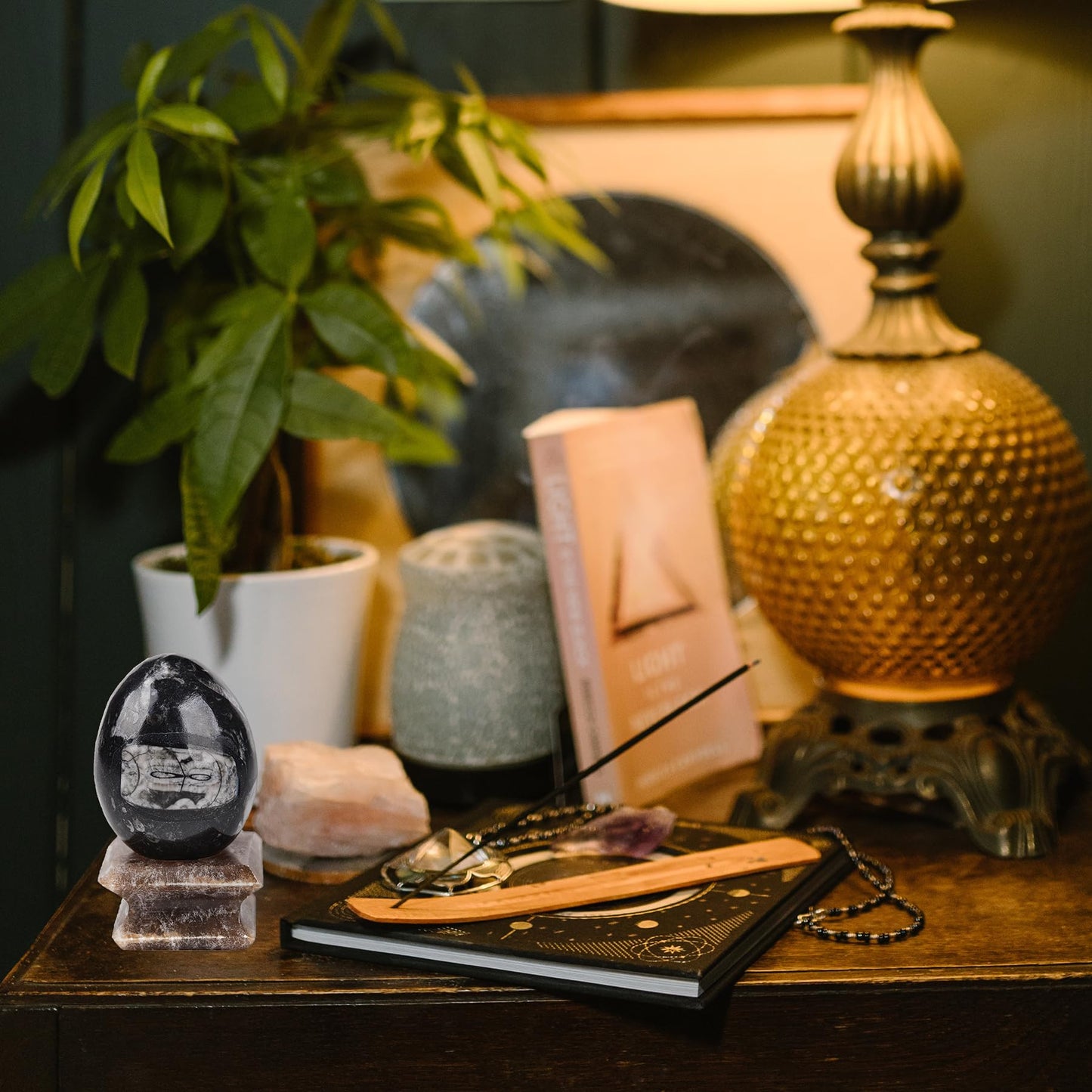 AMOYSTONE Orthoceras Stone Egg Black with Natural Stone Base for Healing Reiki Home Decors Medium, Single Height 2.5-3"