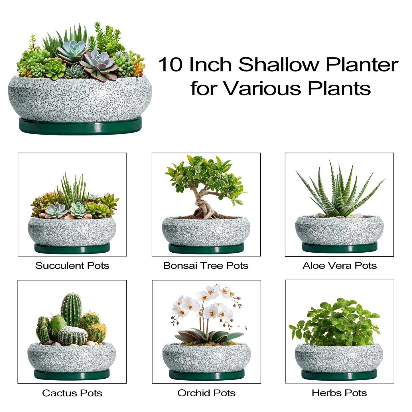 EPFamily Succulent Planters 10 Inch - Ceramic Bonsai Pots with Drainage Hole and Saucer, Large Succulent Pots Indoor, Shallow Planter, Round Bowl Planter Outdoor, Patio Decor, Plant Lover Gift, Green