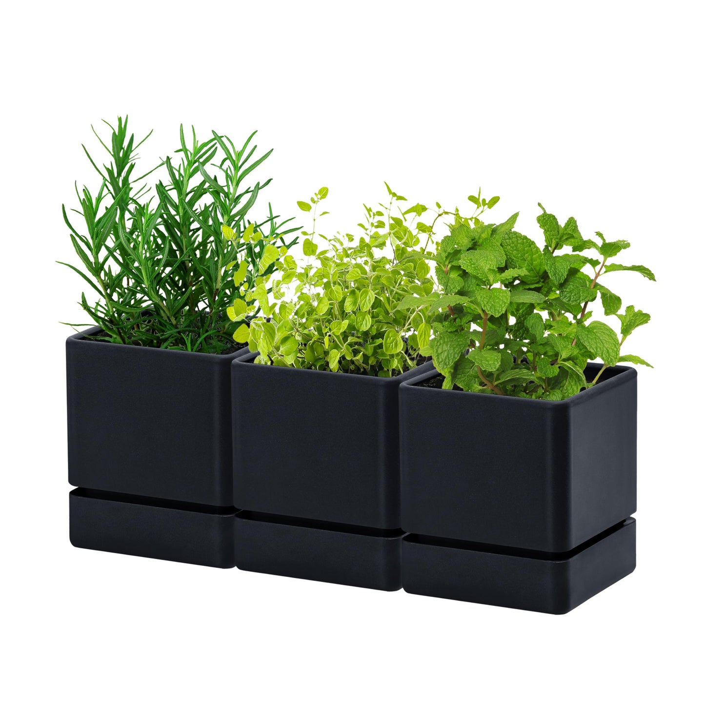 D'vine Dev 4 Inch Herb Planter Pot, Plastic Planter with Drainage Holes and Saucer, Modern Decorative Gardening Pot for Indoor Plants, Flowers, Herbs, Succulents, Black, Set of 3, 76-Y-B3-1